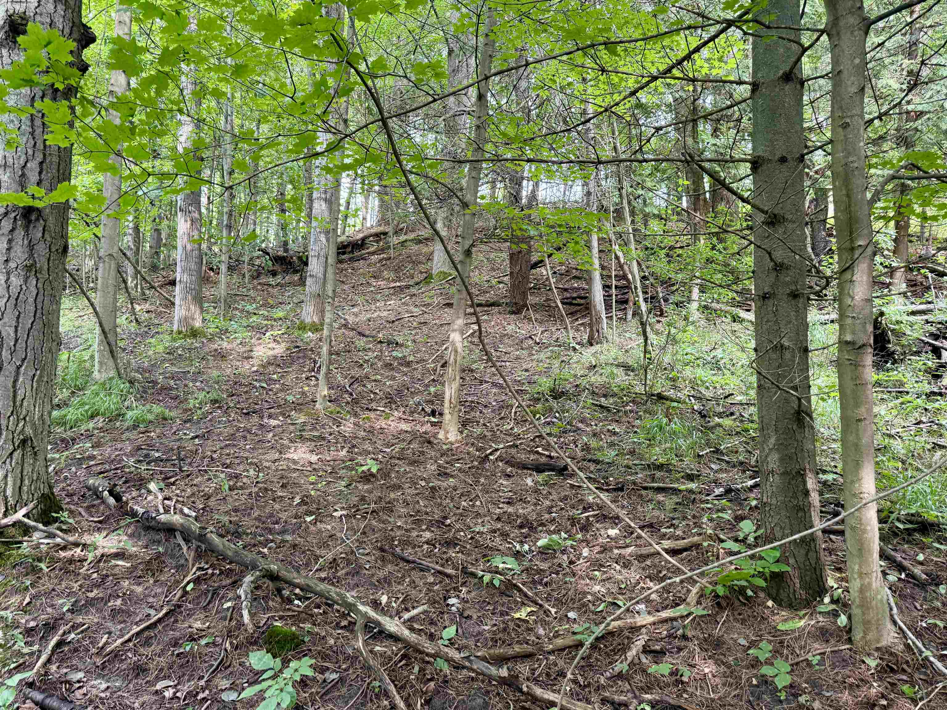 0000 W Empire Highway, Empire, MI, 49630