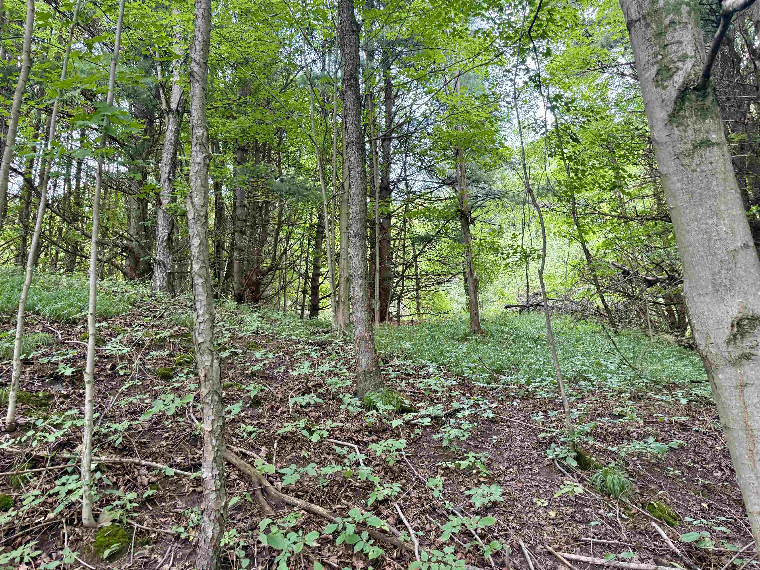 0000 W Empire Highway, Empire, MI, 49630