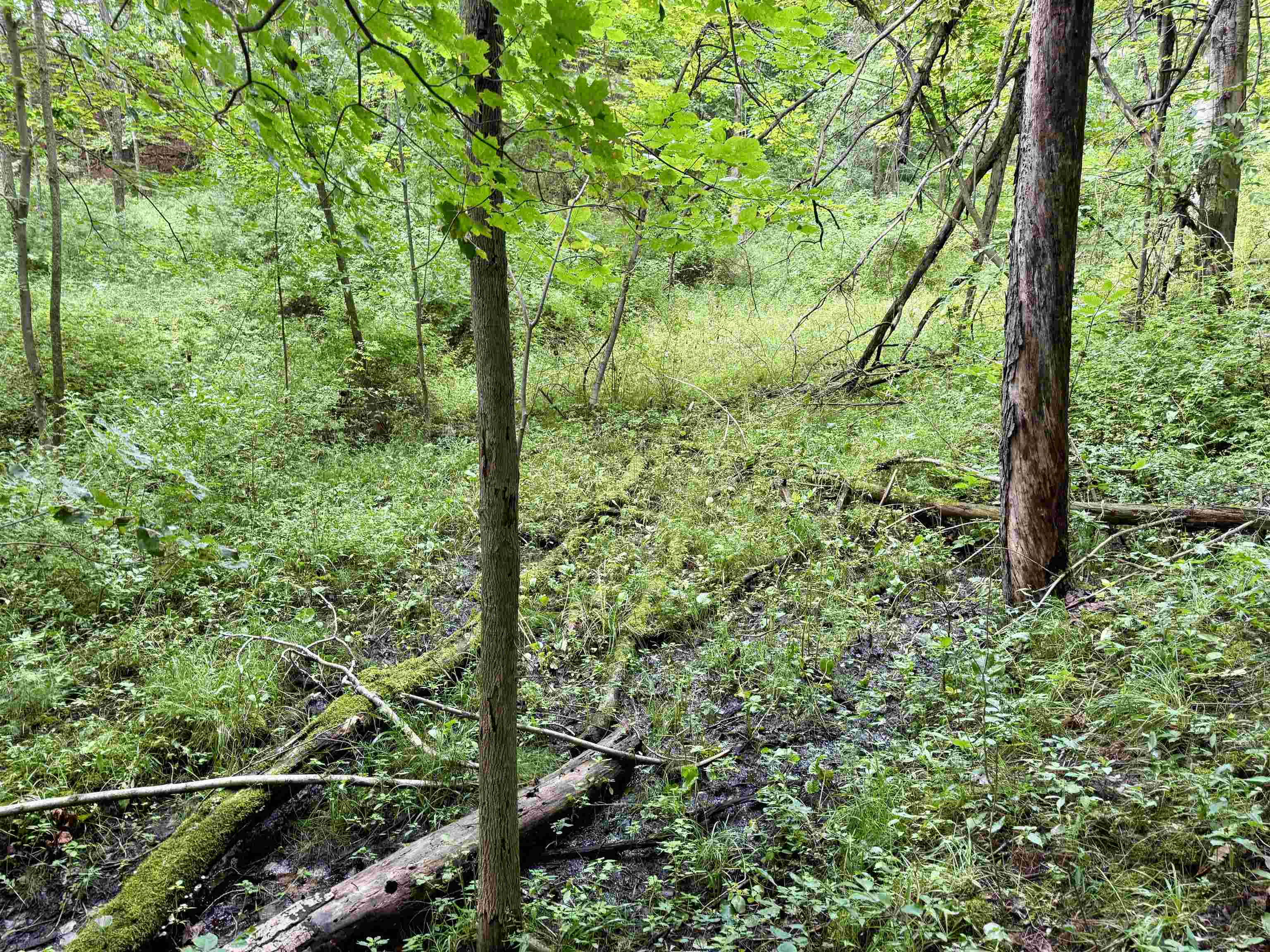 0000 W Empire Highway, Empire, MI, 49630