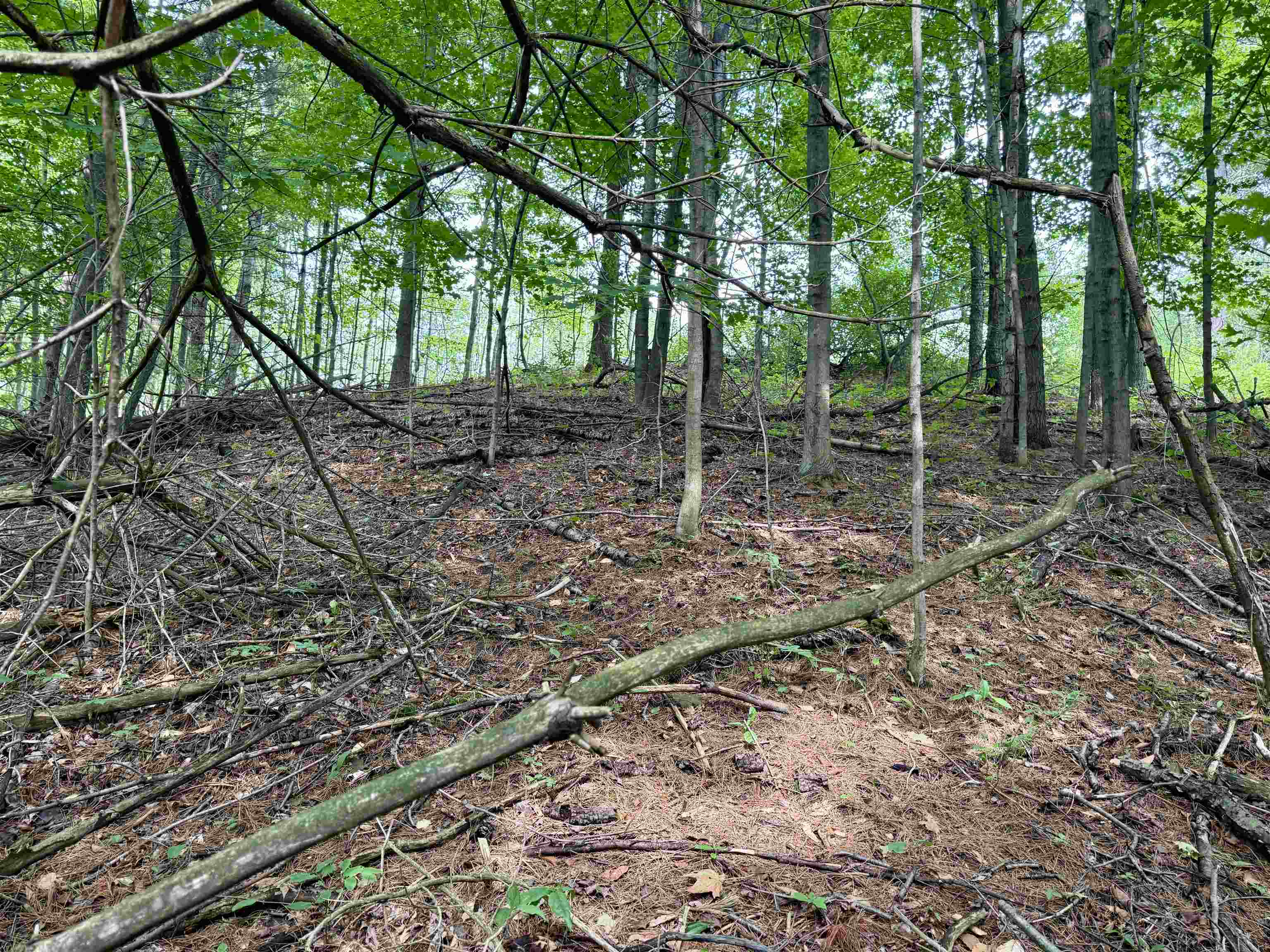 0000 W Empire Highway, Empire, MI, 49630