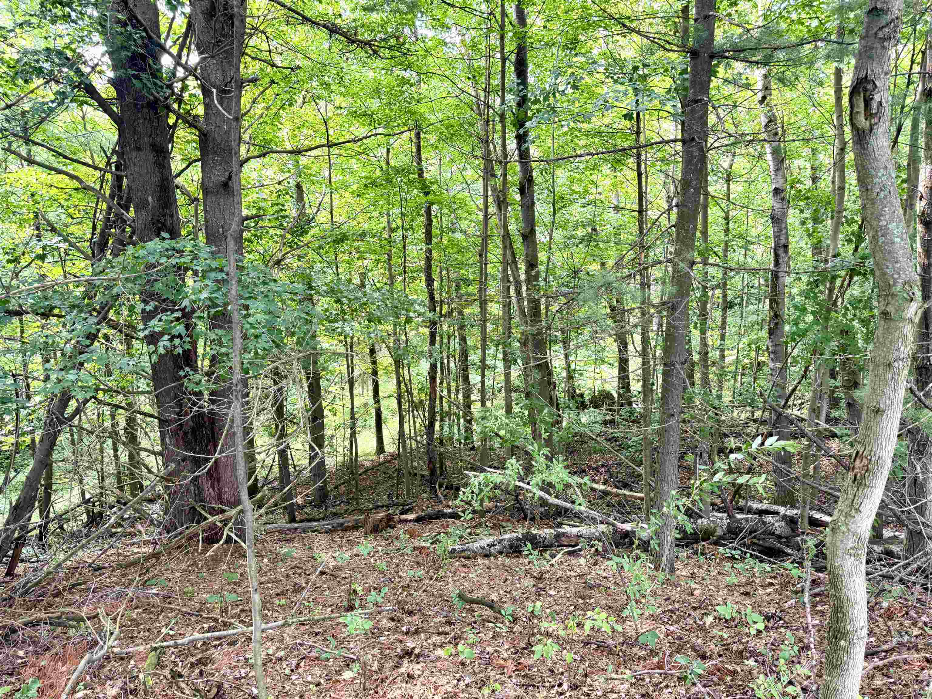 0000 W Empire Highway, Empire, MI, 49630