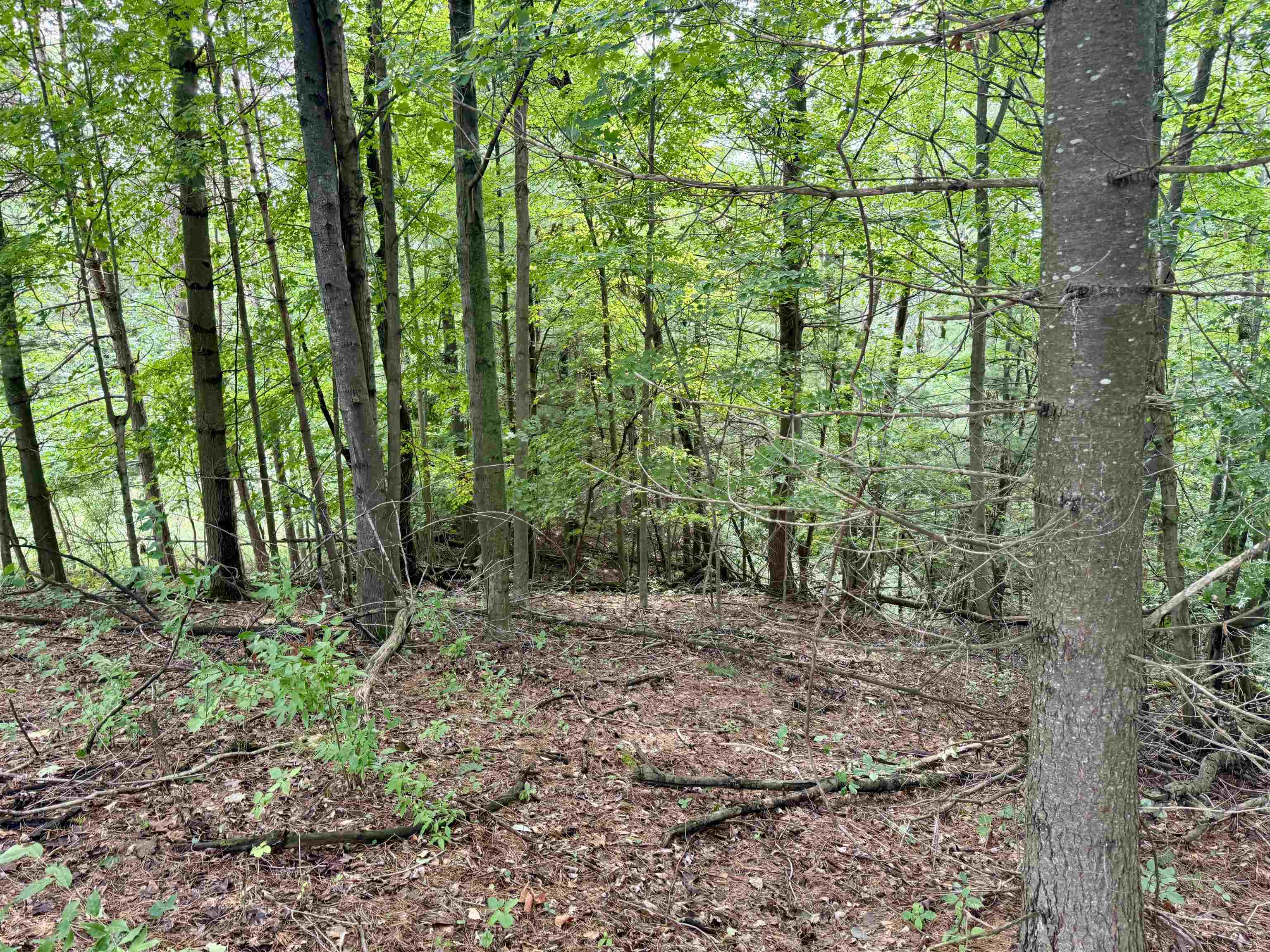 0000 W Empire Highway, Empire, MI, 49630