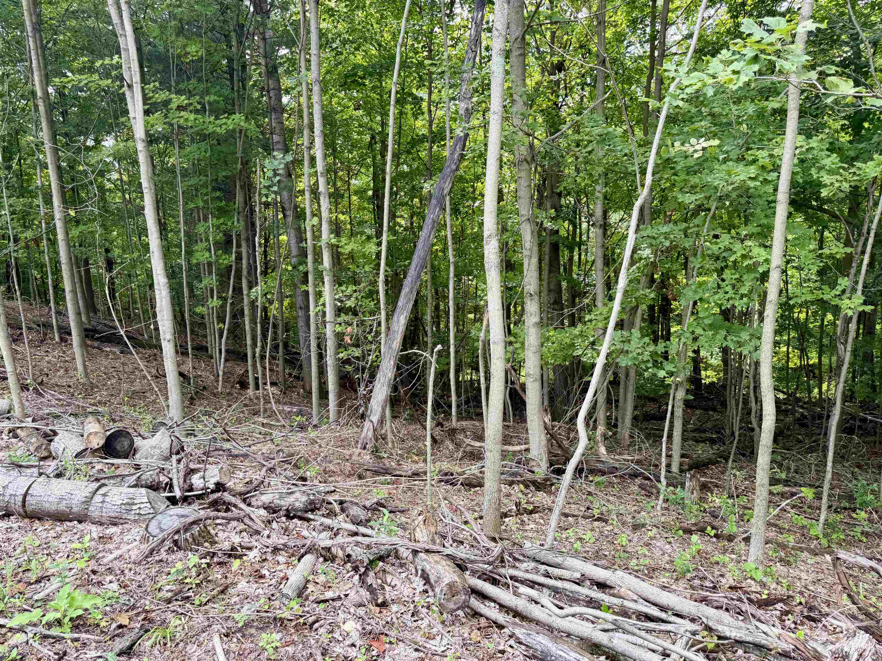 0000 W Empire Highway, Empire, MI, 49630