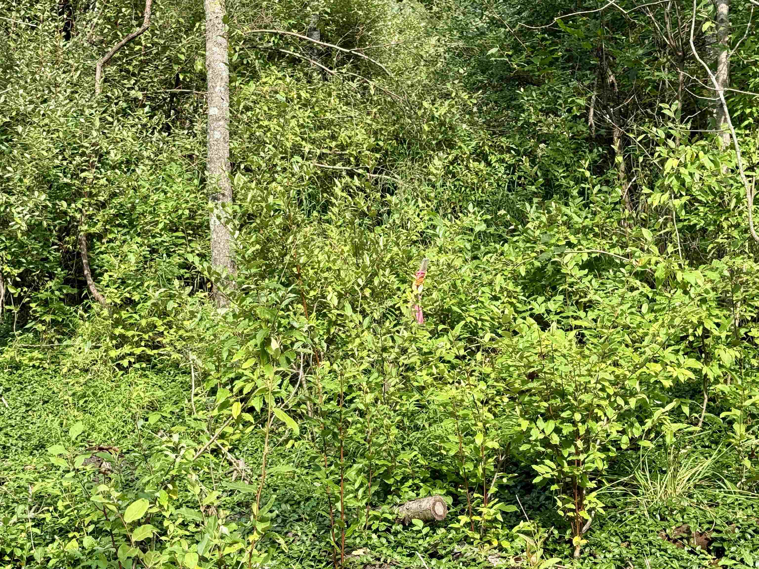 0000 W Empire Highway, Empire, MI, 49630