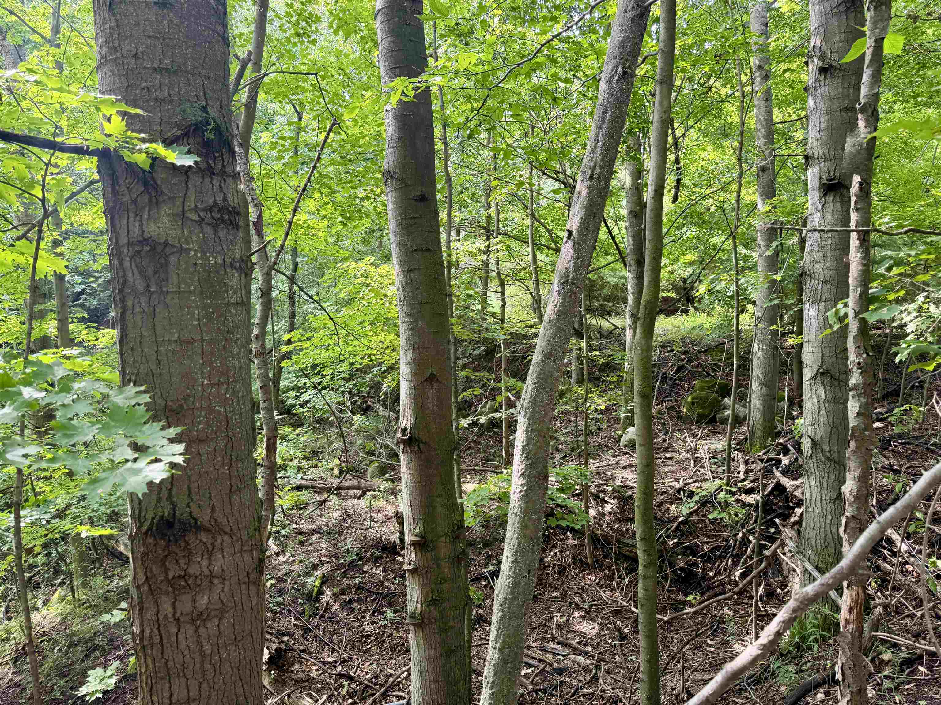 0000 W Empire Highway, Empire, MI, 49630