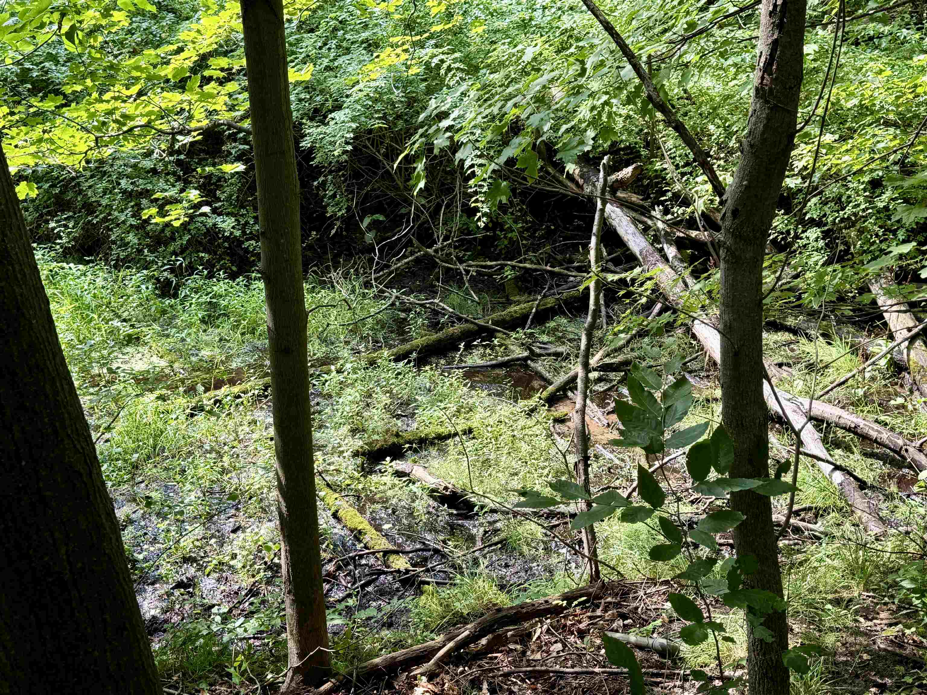 0000 W Empire Highway, Empire, MI, 49630