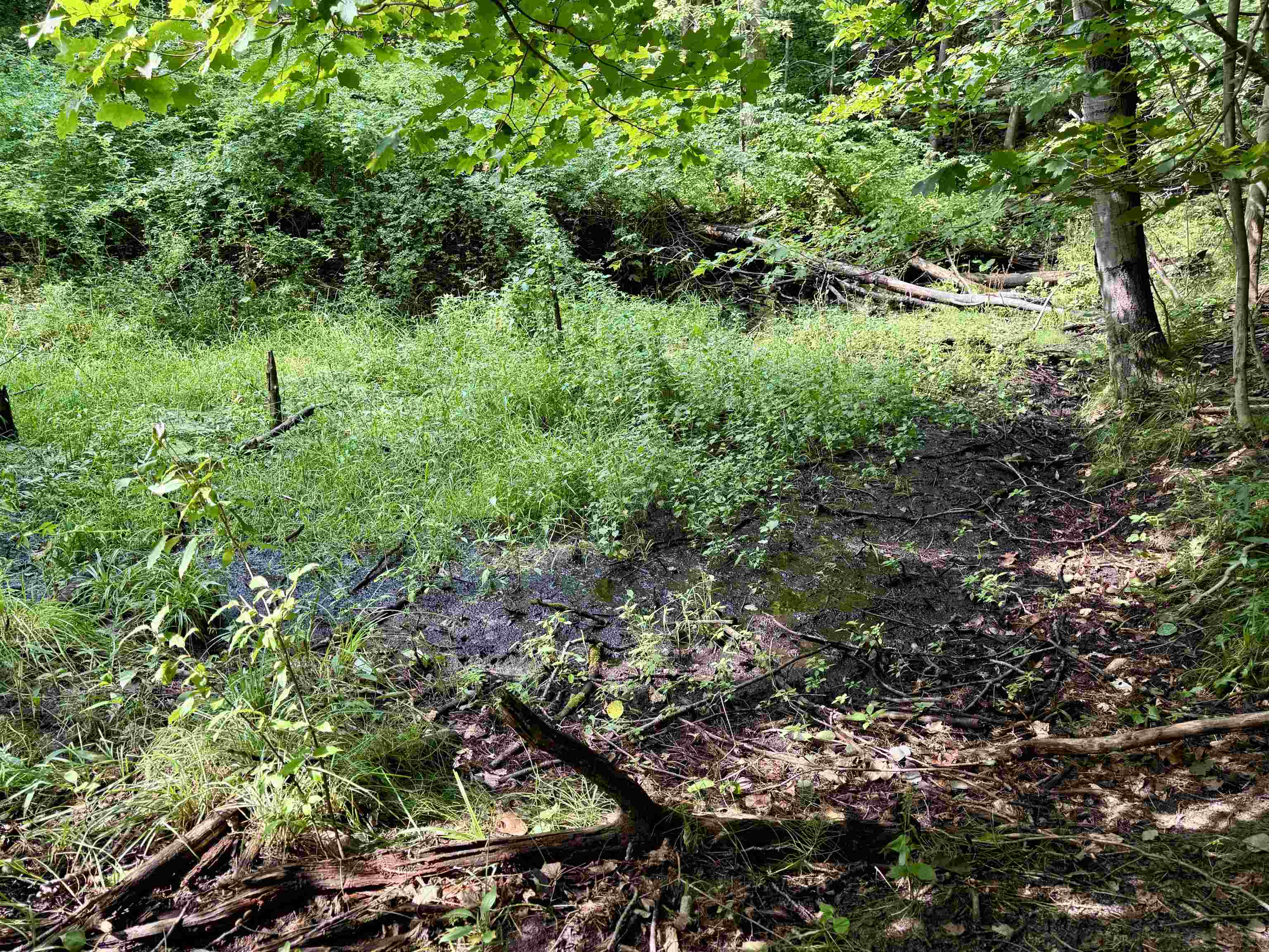 0000 W Empire Highway, Empire, MI, 49630