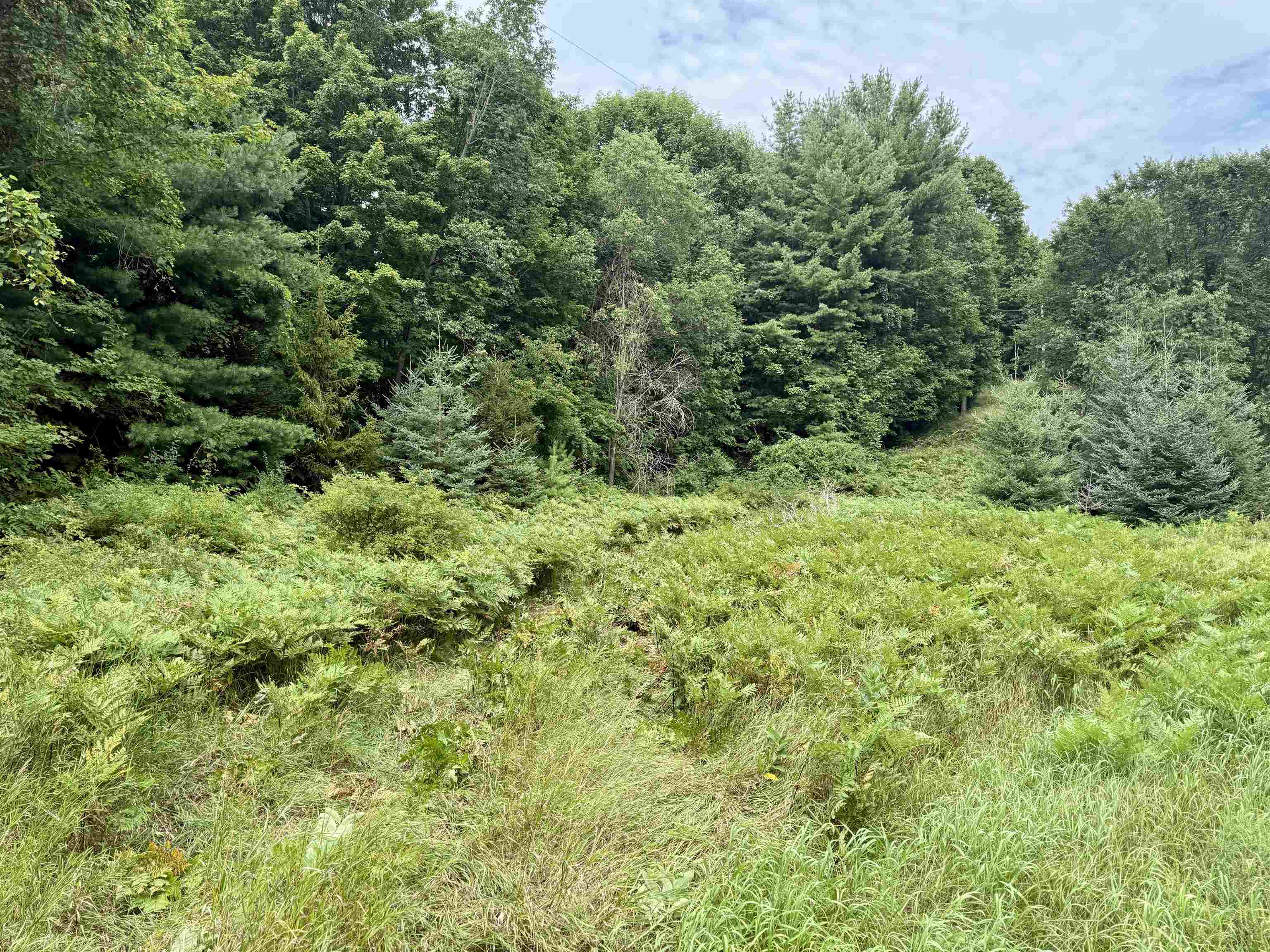 0000 W Empire Highway, Empire, MI, 49630