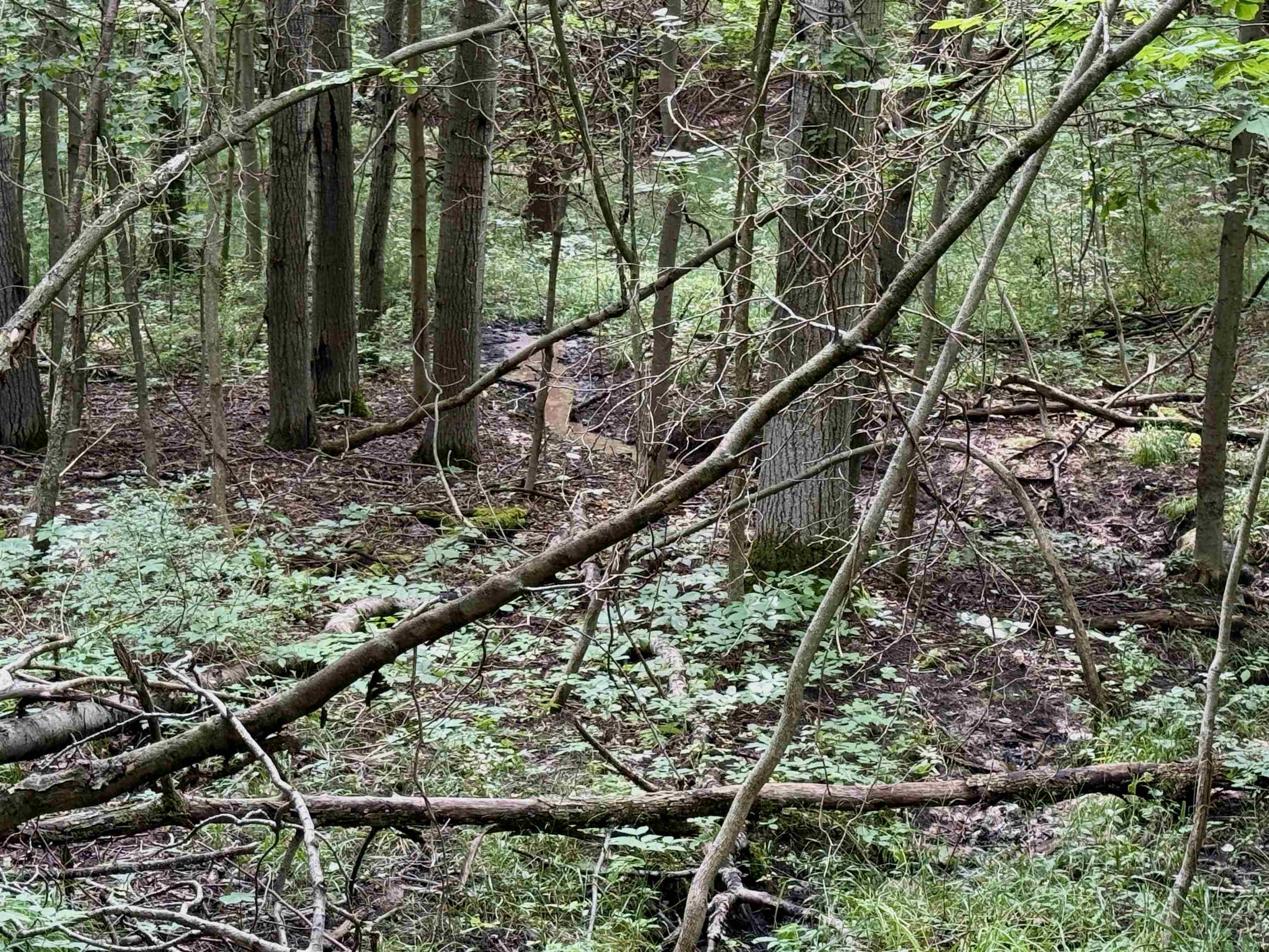 0000 W Empire Highway, Empire, MI, 49630