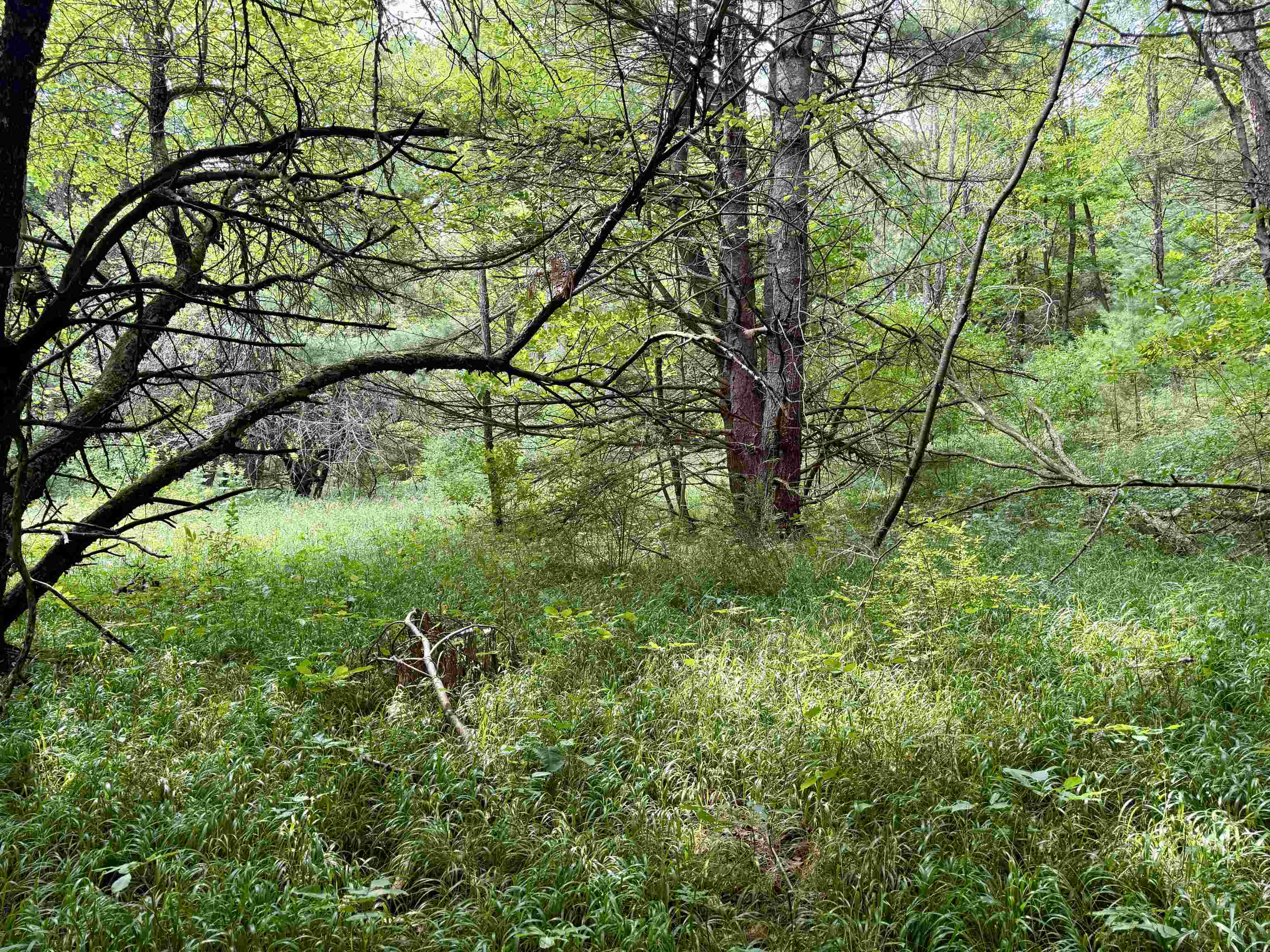 0000 W Empire Highway, Empire, MI, 49630