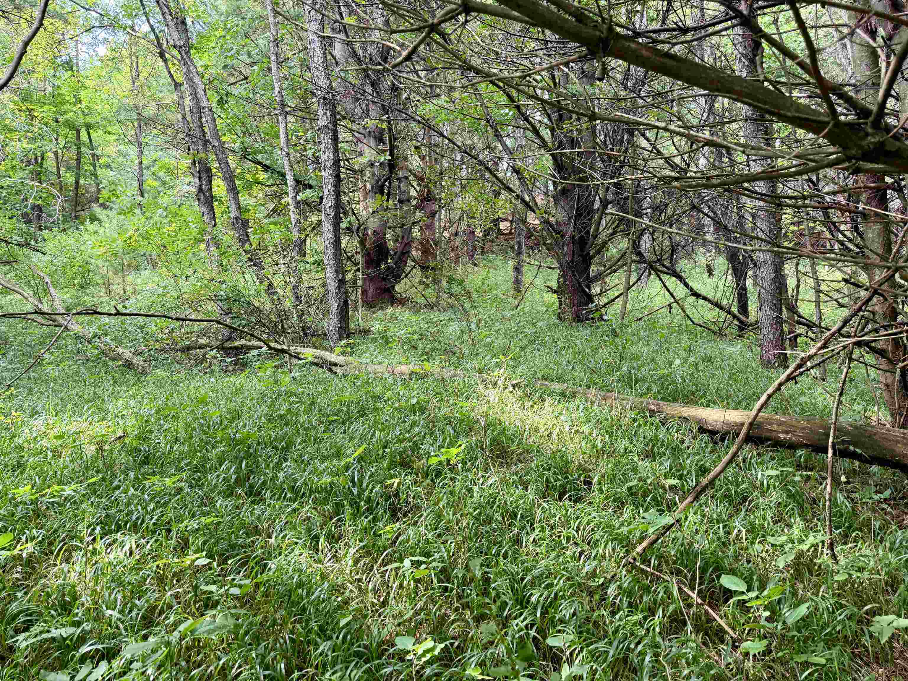 0000 W Empire Highway, Empire, MI, 49630