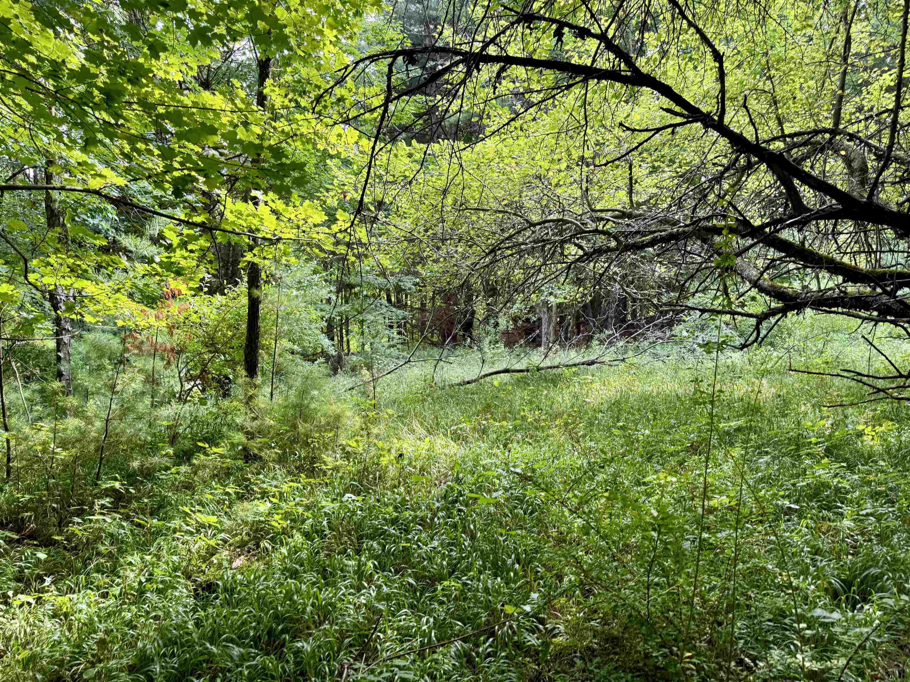 0000 W Empire Highway, Empire, MI, 49630