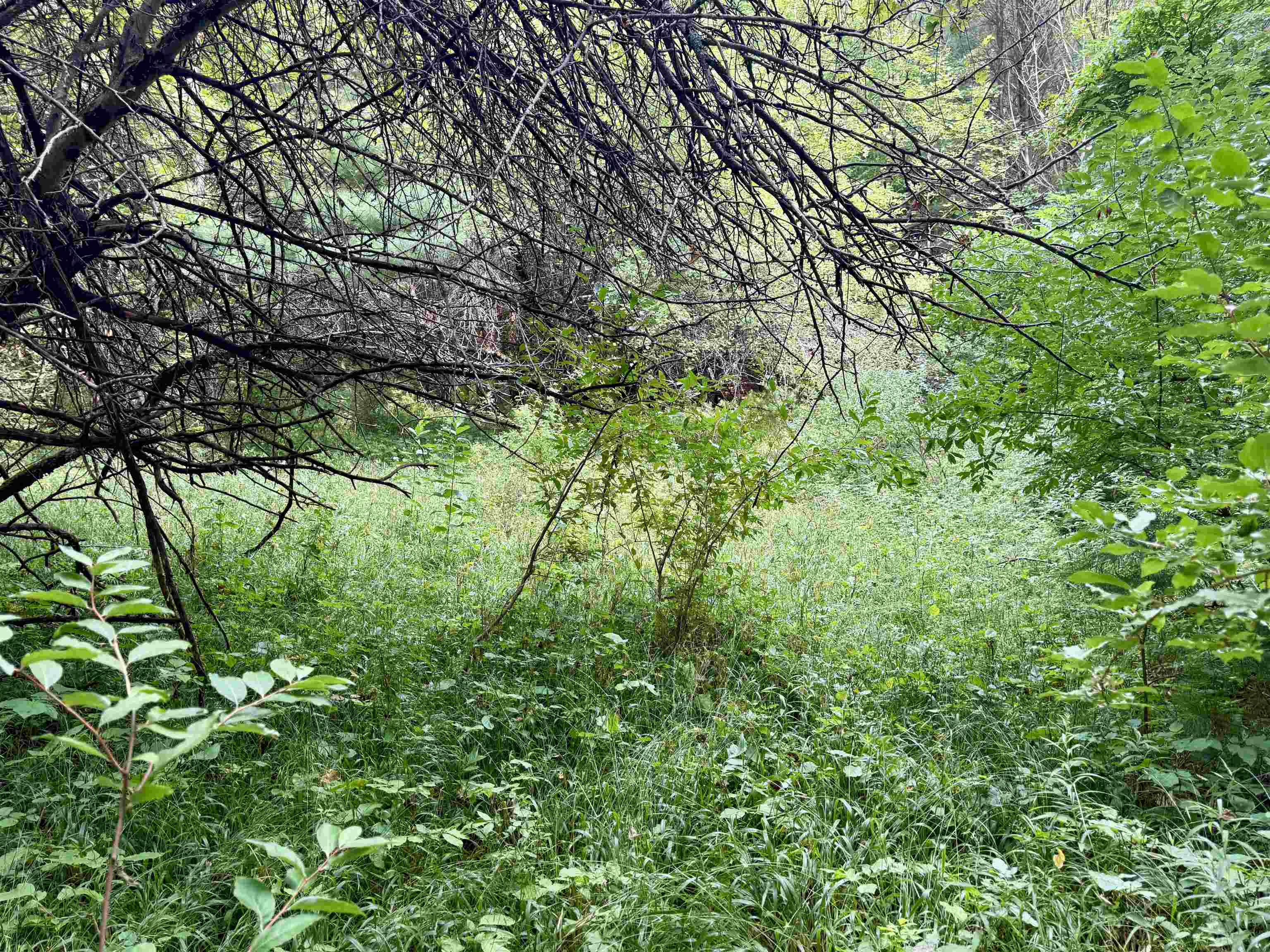 0000 W Empire Highway, Empire, MI, 49630