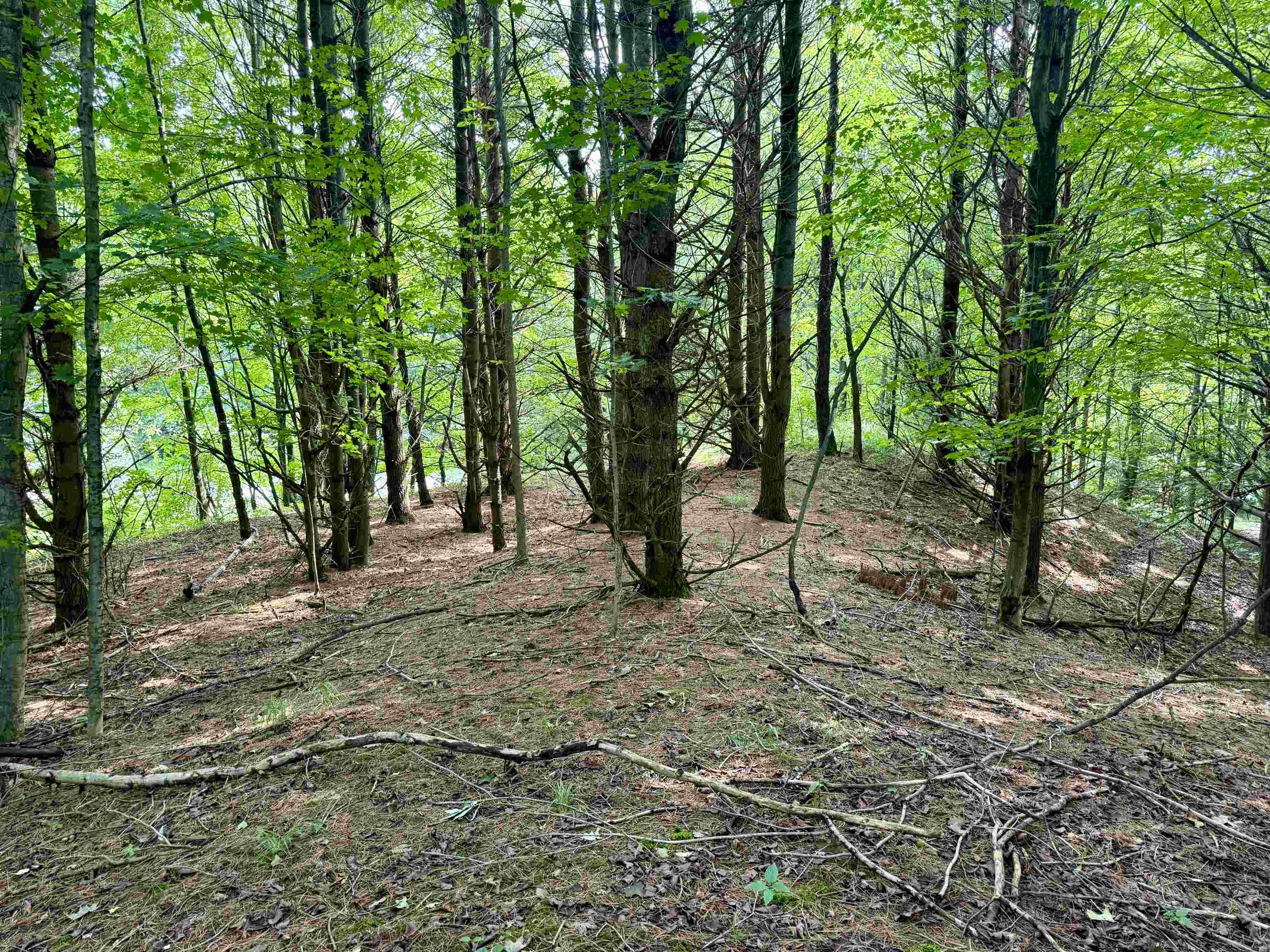 0000 W Empire Highway, Empire, MI, 49630