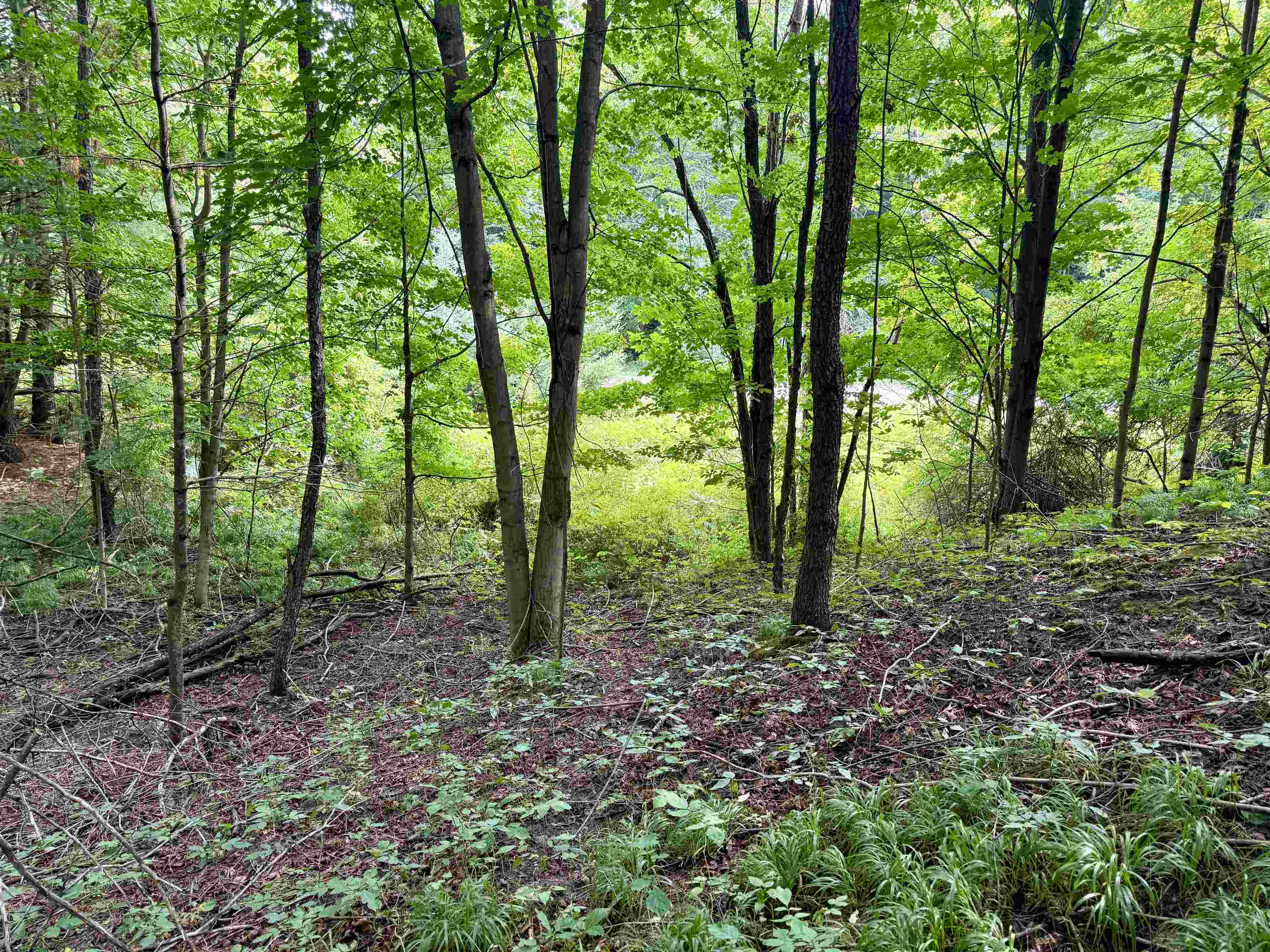 0000 W Empire Highway, Empire, MI, 49630