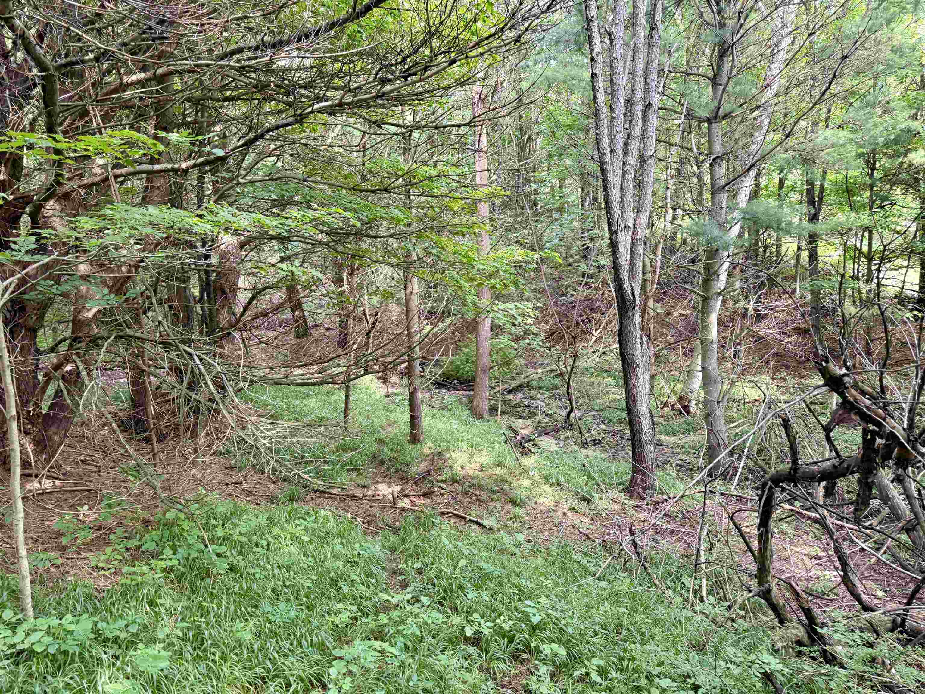 0000 W Empire Highway, Empire, MI, 49630