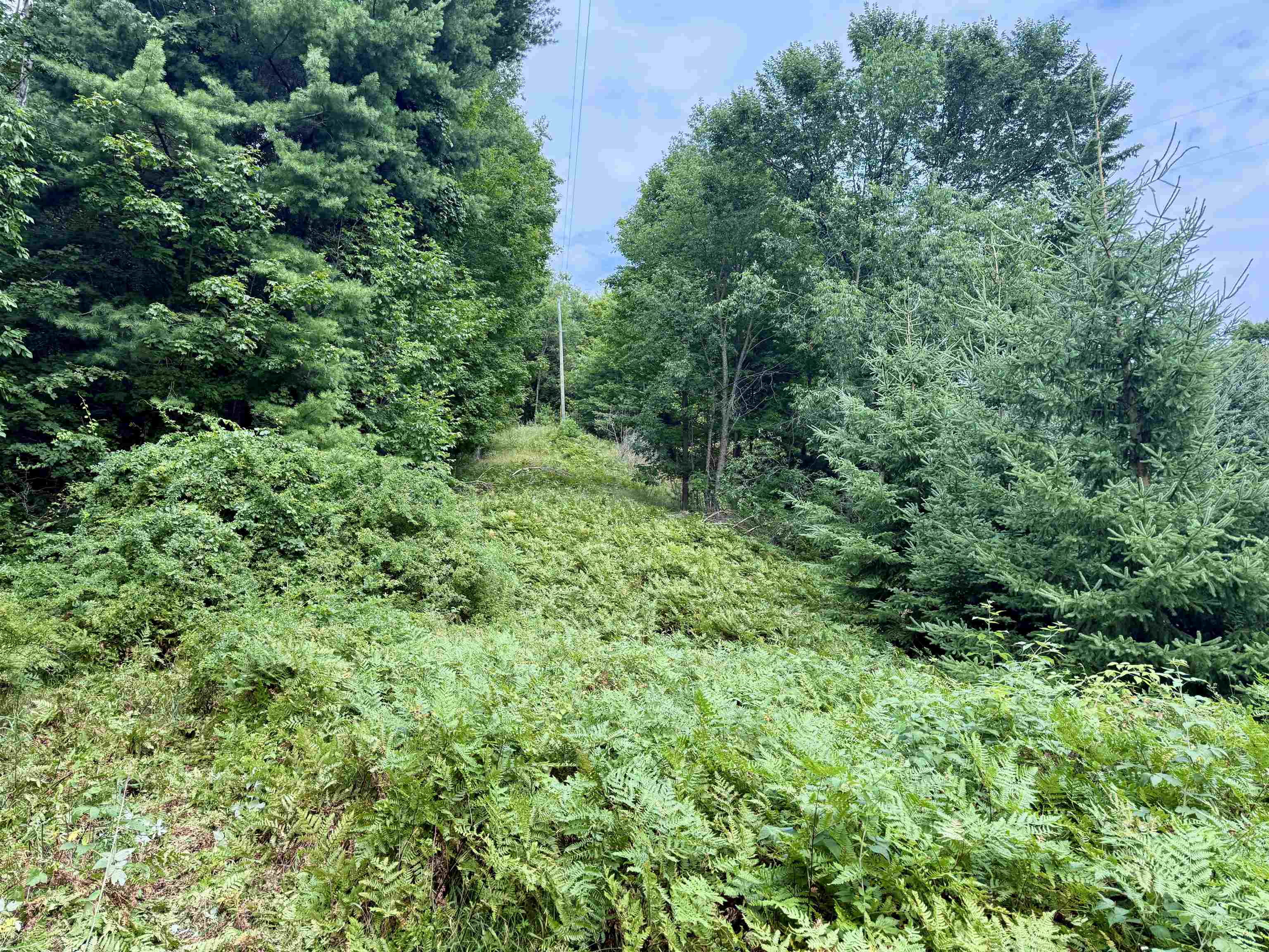 0000 W Empire Highway, Empire, MI, 49630