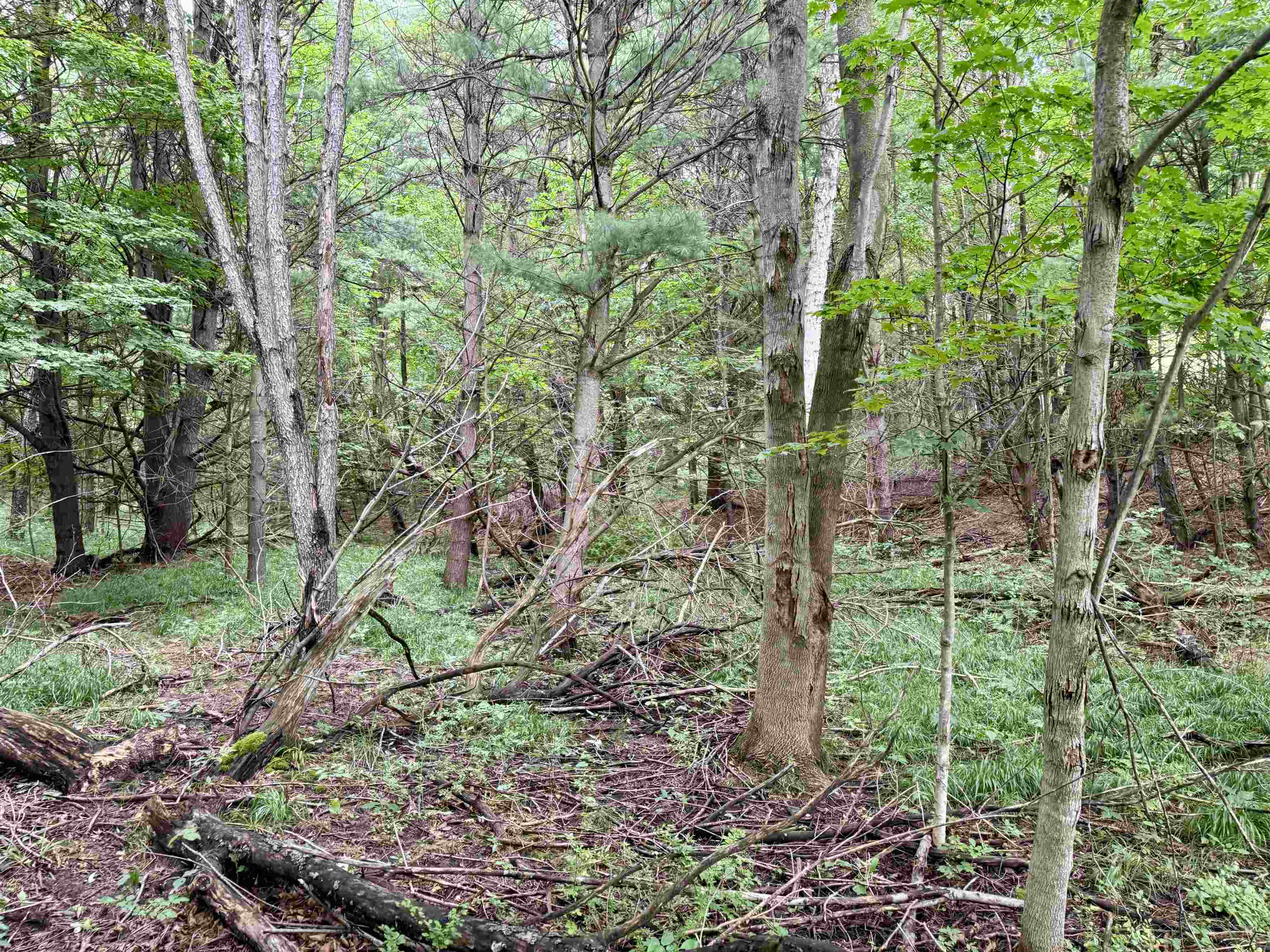 0000 W Empire Highway, Empire, MI, 49630