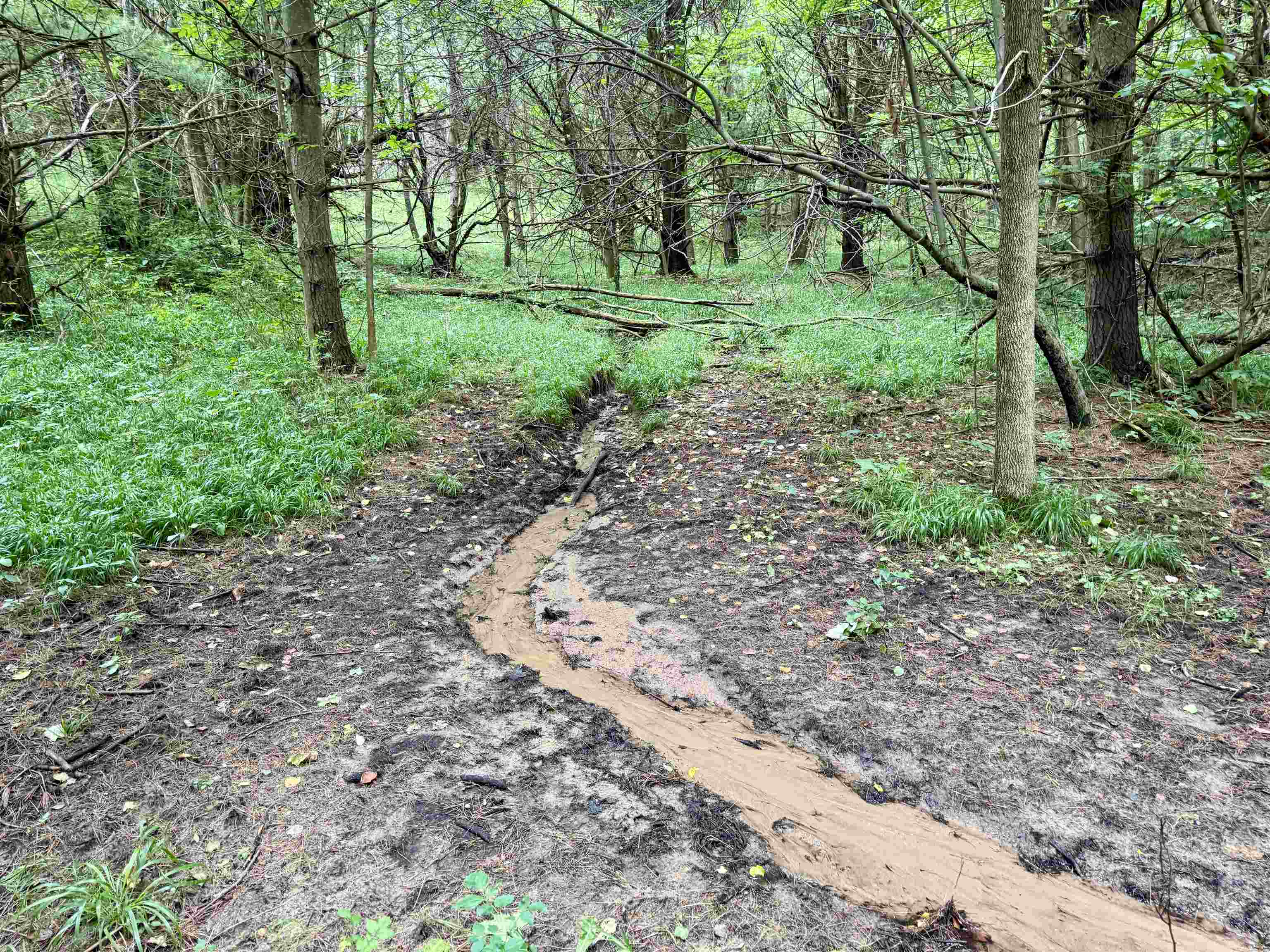 0000 W Empire Highway, Empire, MI, 49630