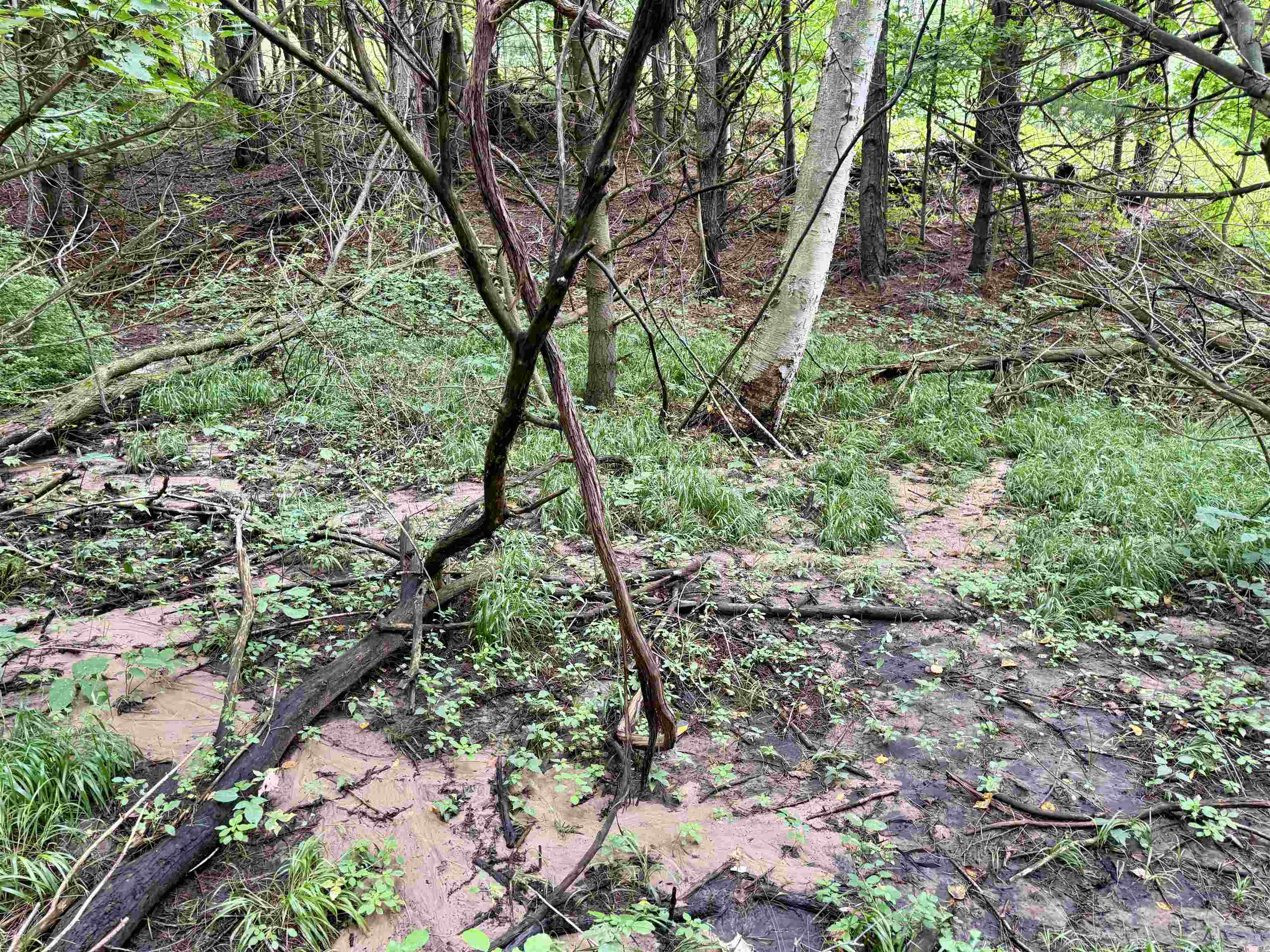 0000 W Empire Highway, Empire, MI, 49630