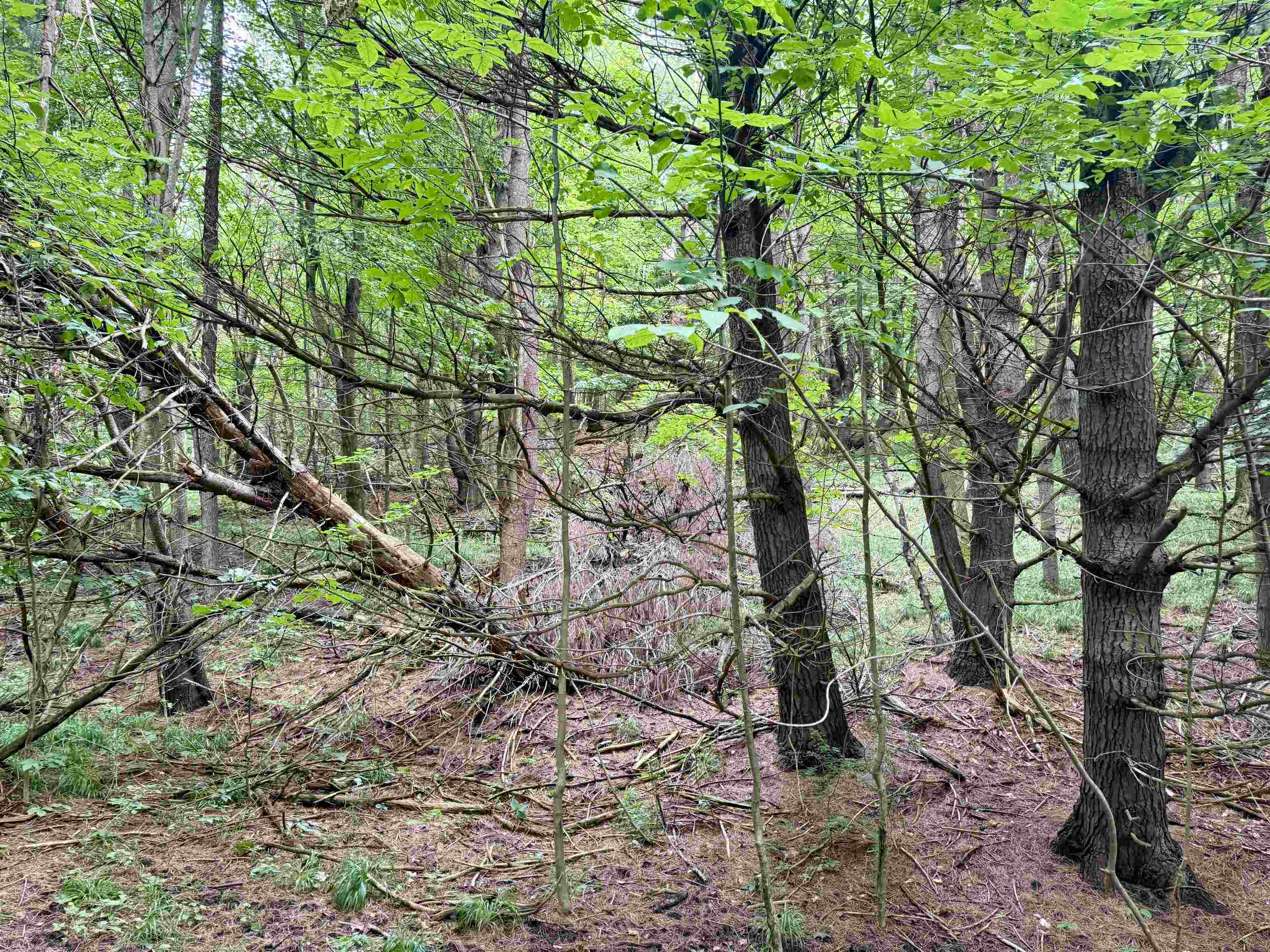 0000 W Empire Highway, Empire, MI, 49630