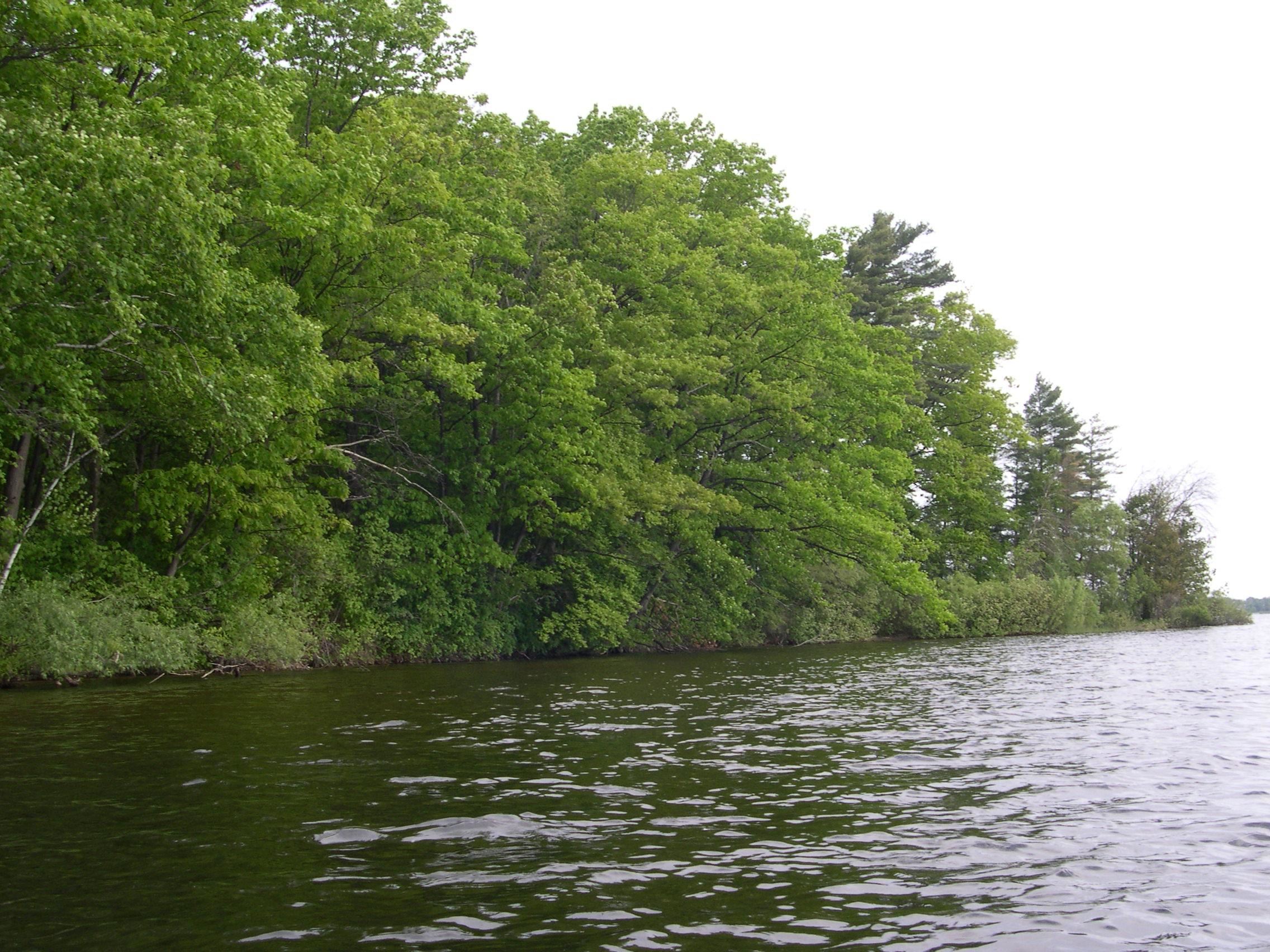 1573 Edgewater Ridge, Traverse City, MI, 49684