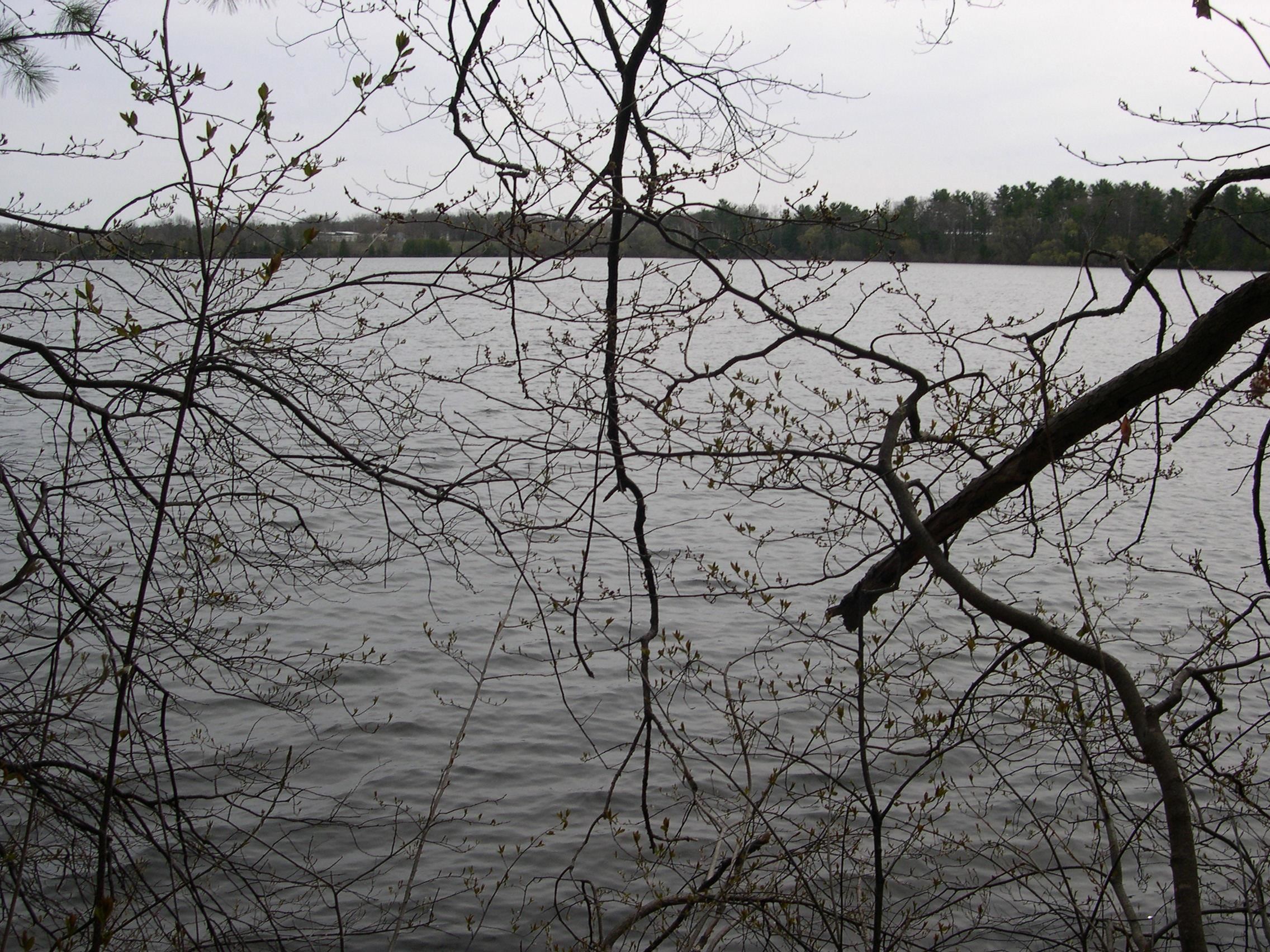 1573 Edgewater Ridge, Traverse City, MI, 49684