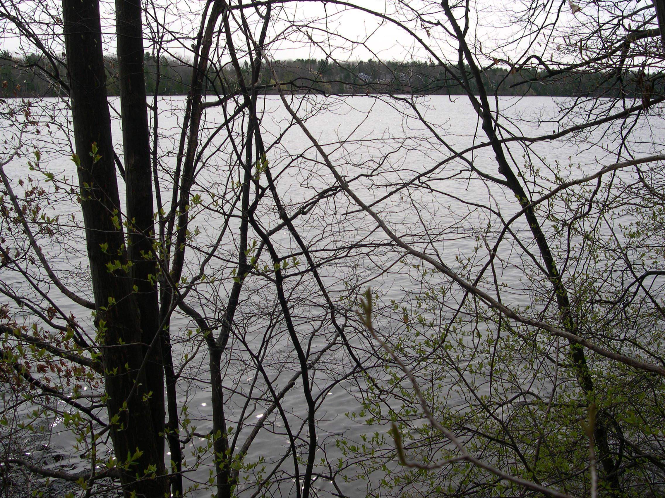 1573 Edgewater Ridge, Traverse City, MI, 49684