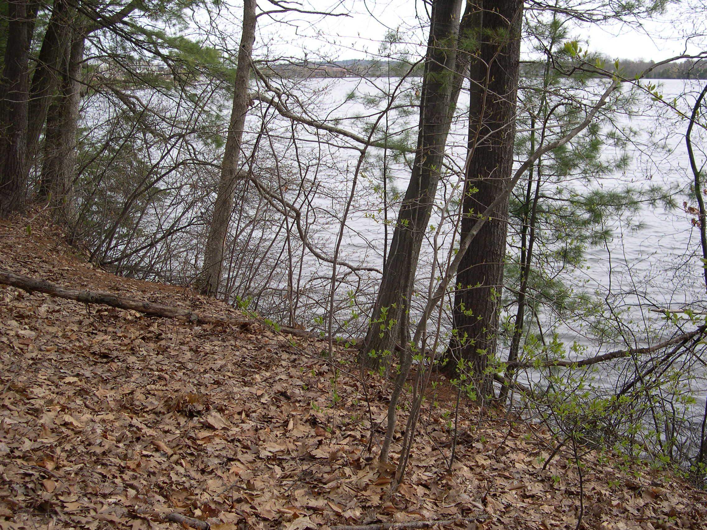 1573 Edgewater Ridge, Traverse City, MI, 49684