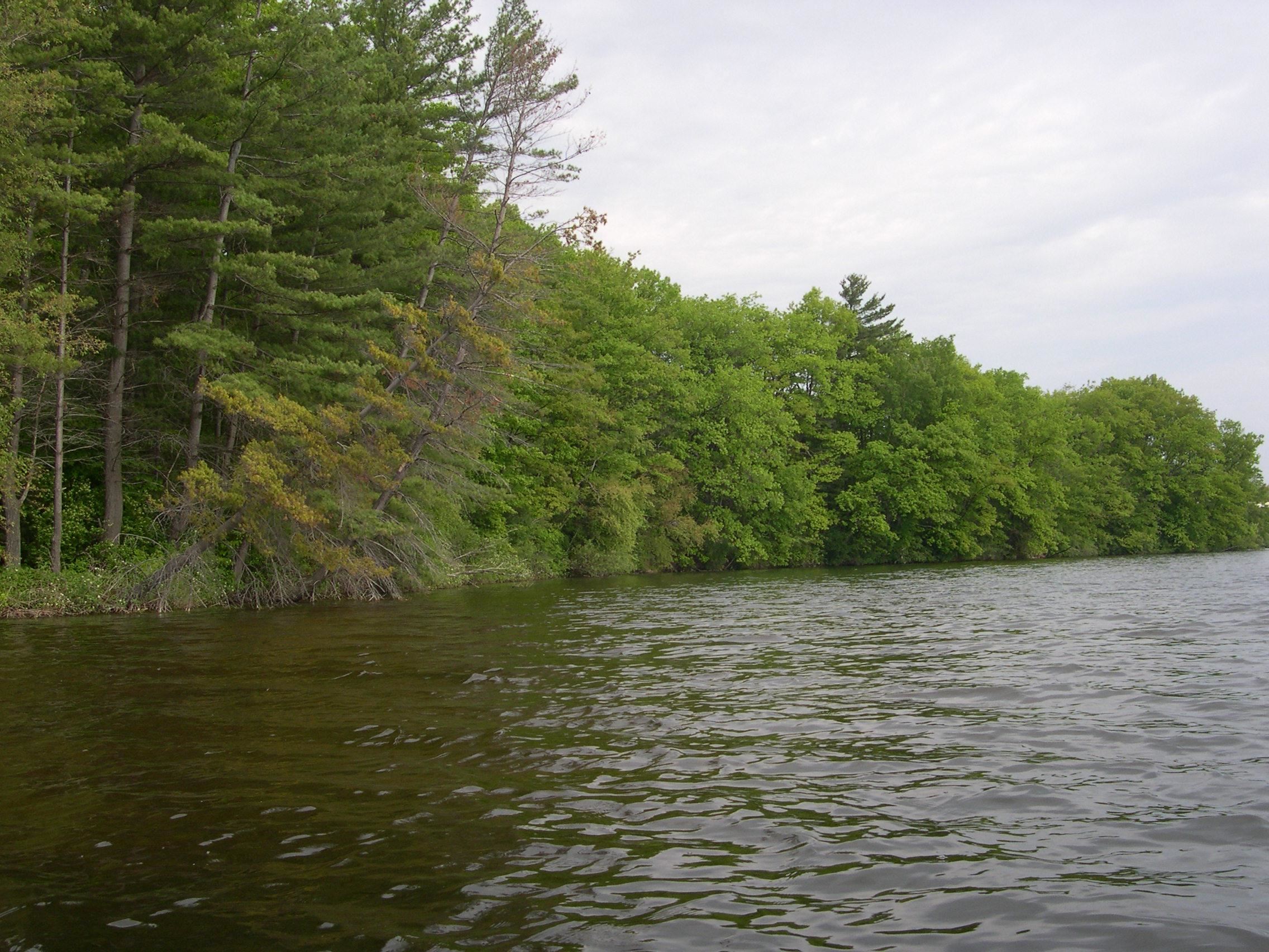 1573 Edgewater Ridge, Traverse City, MI, 49684