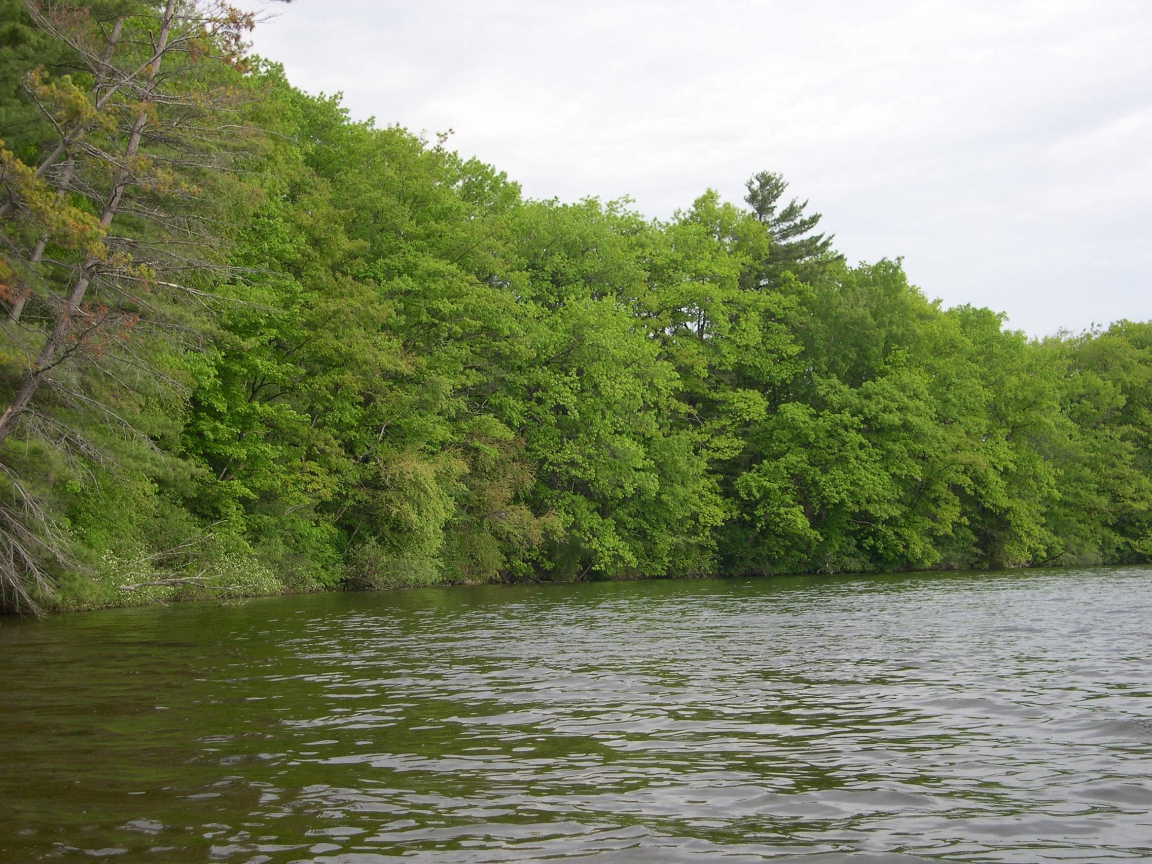 1573 Edgewater Ridge, Traverse City, MI, 49684