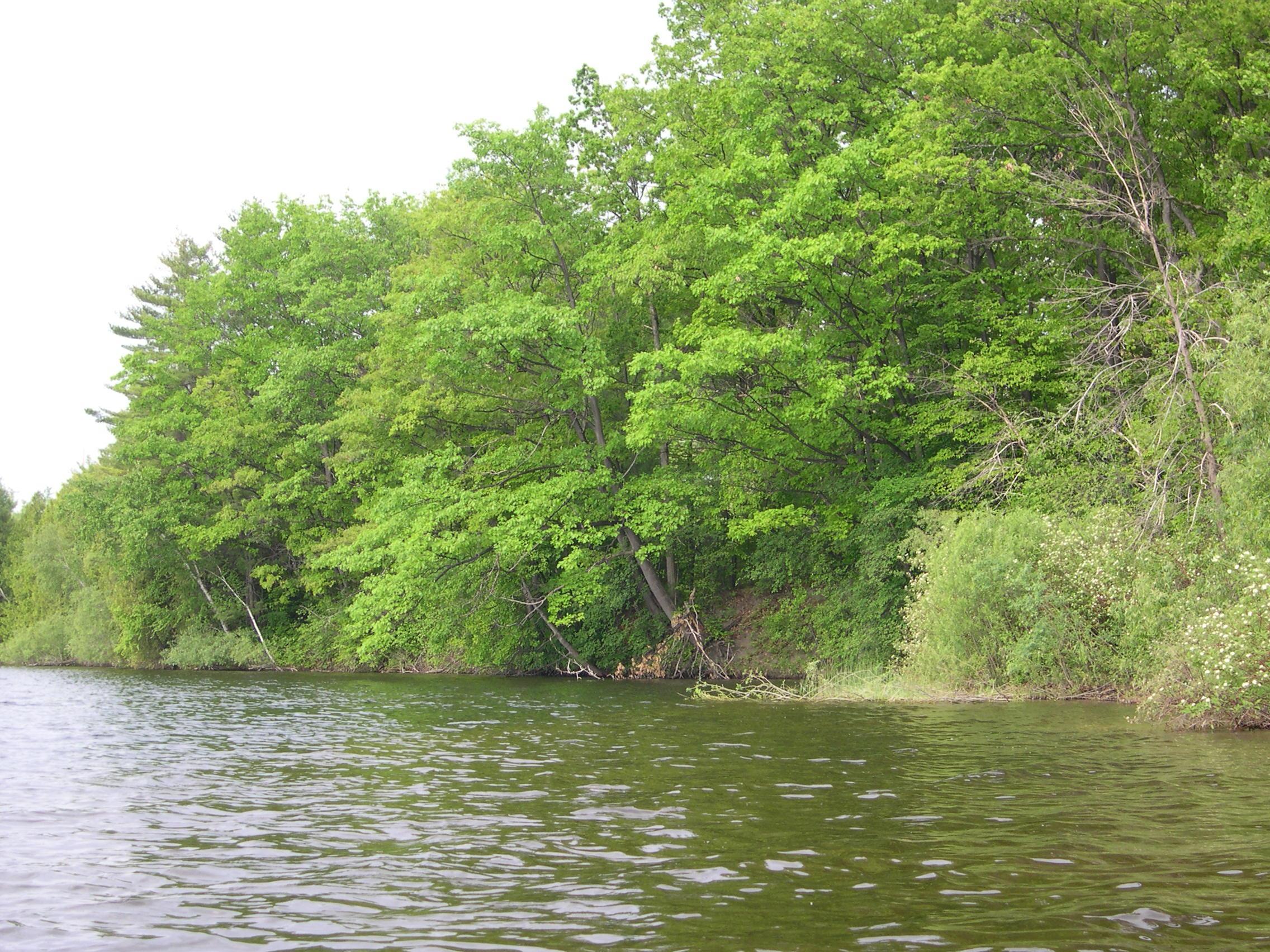 1573 Edgewater Ridge, Traverse City, MI, 49684