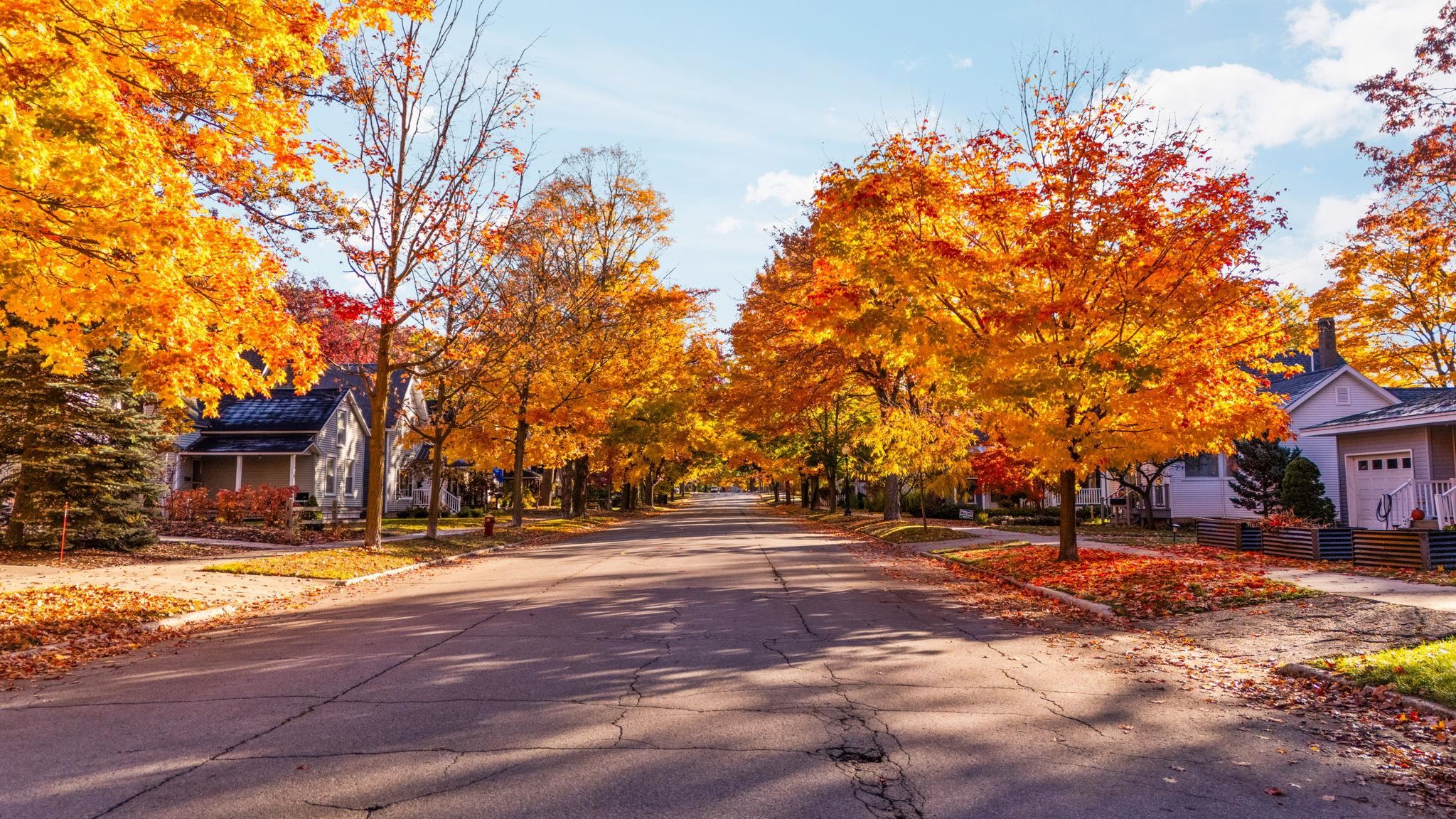 427 Washington Street, Traverse City, MI, 49684