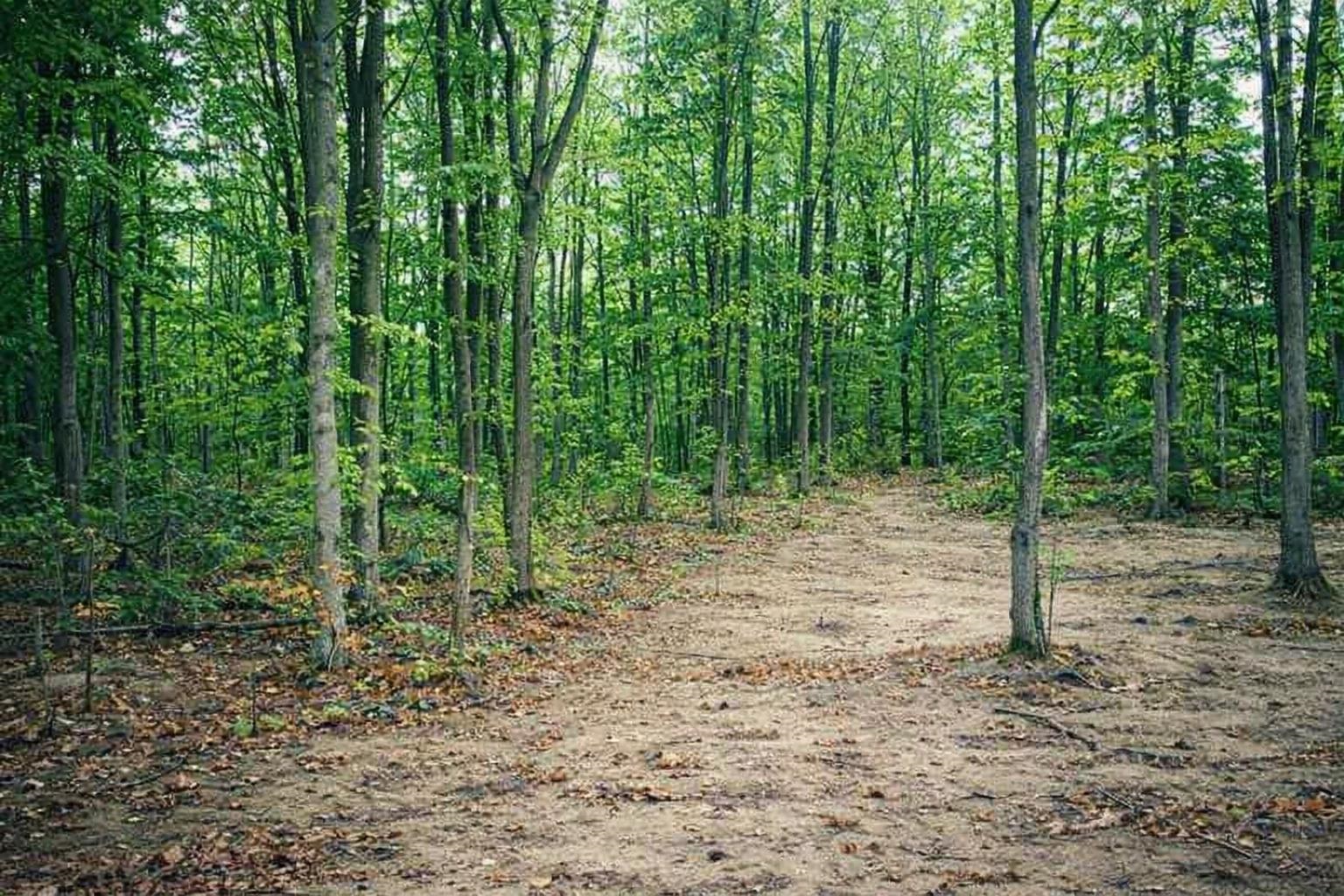 8796 Cedar Creek Drive, Petoskey, MI, 49770