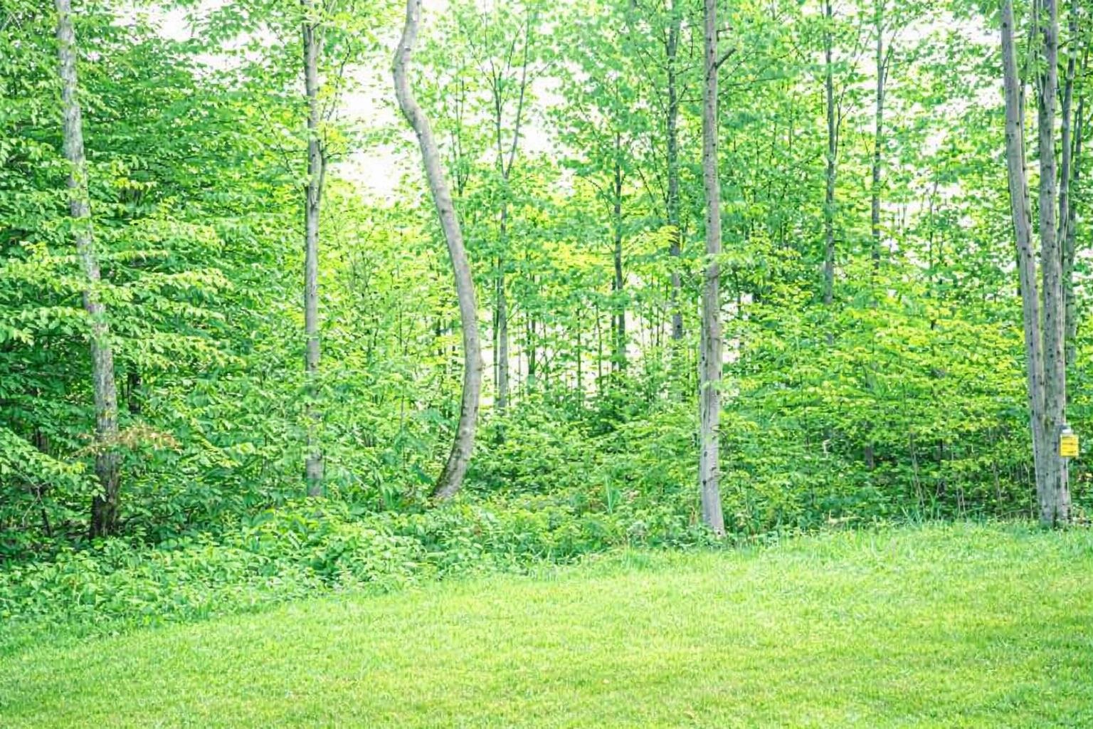 8796 Cedar Creek Drive, Petoskey, MI, 49770