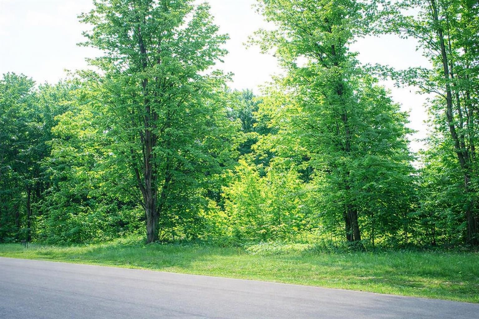 8796 Cedar Creek Drive, Petoskey, MI, 49770