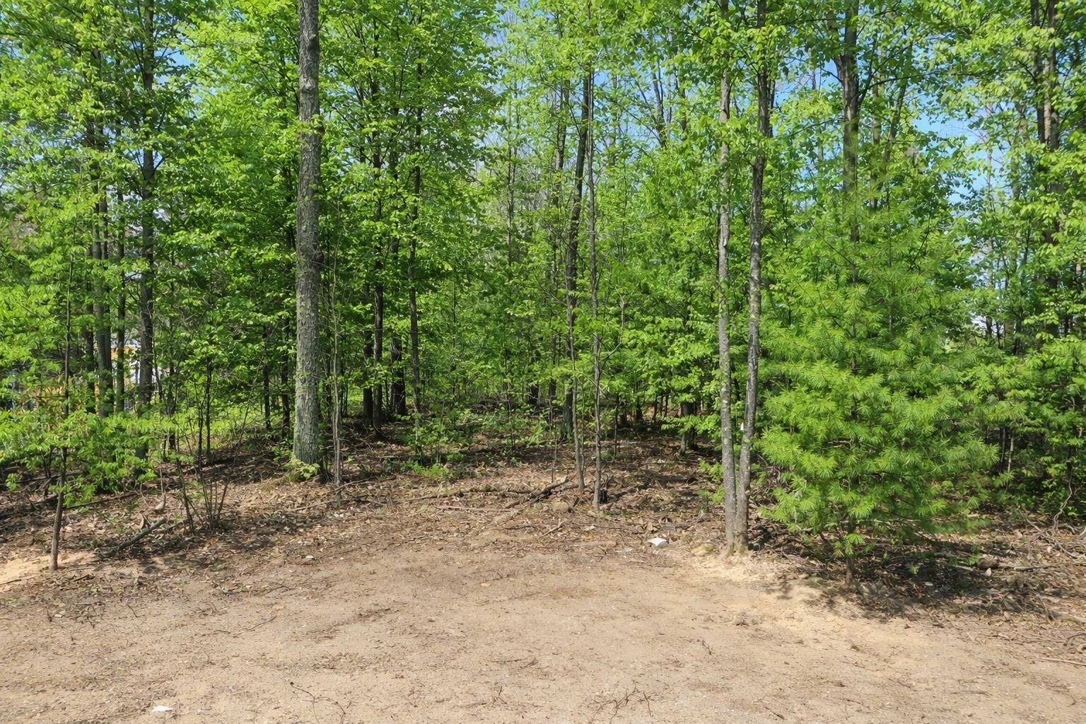 8796 Cedar Creek Drive, Petoskey, MI, 49770