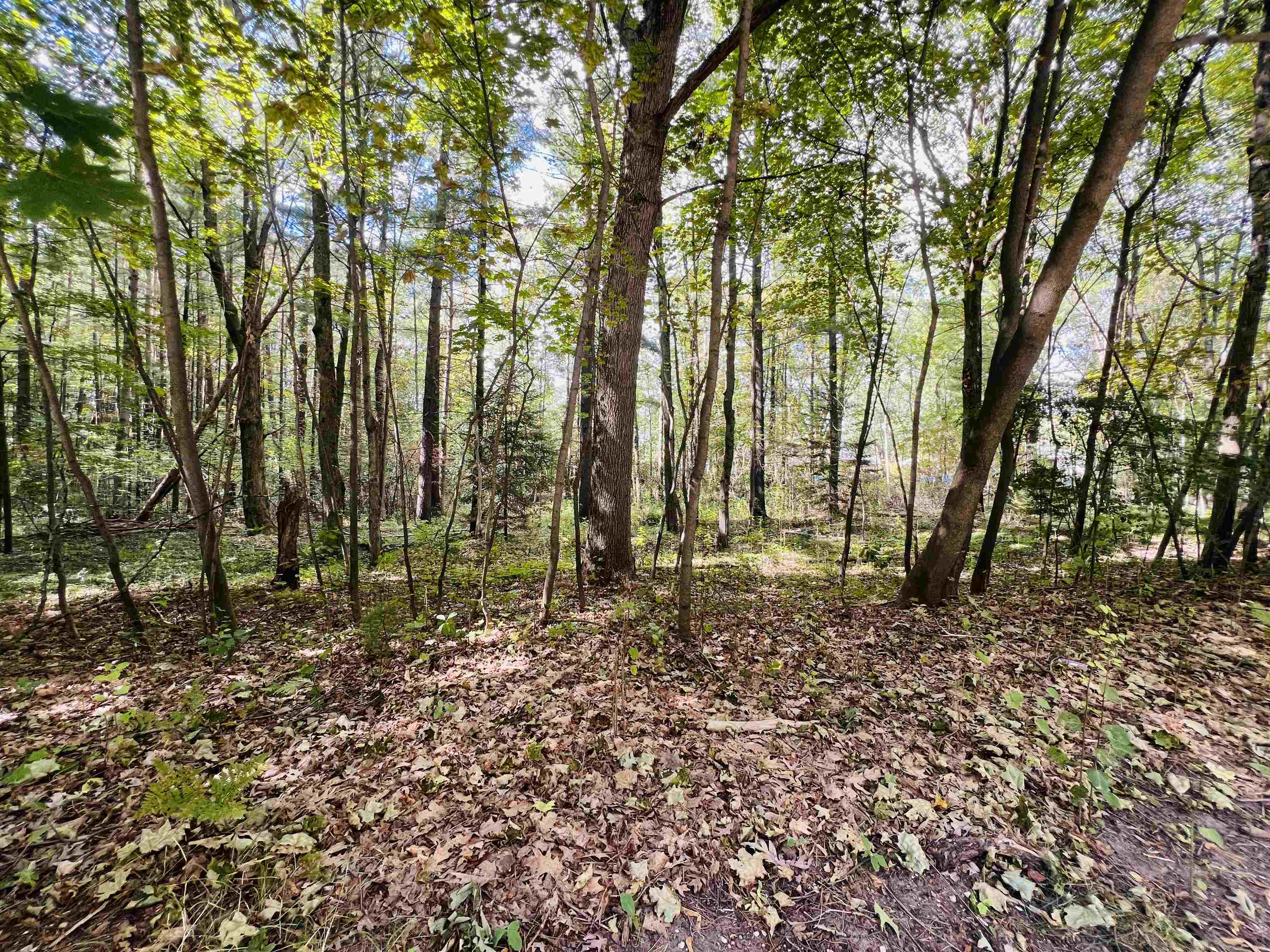 1st image of 00 Kenwood Rd, Cadillac, MI 49601 | MLS# 80066963