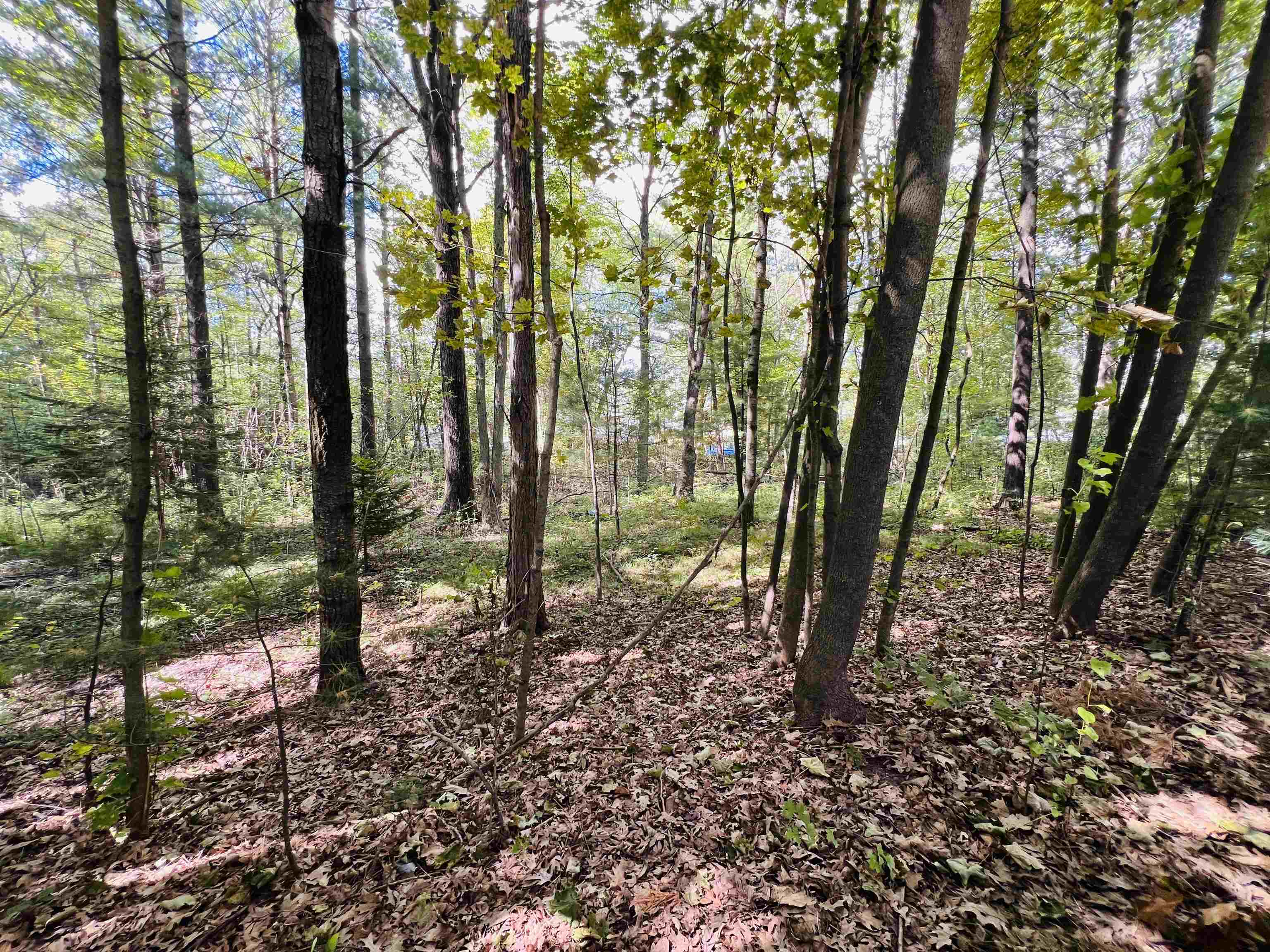 2nd image of 00 Kenwood Rd, Cadillac, MI 49601 | MLS# 80066963