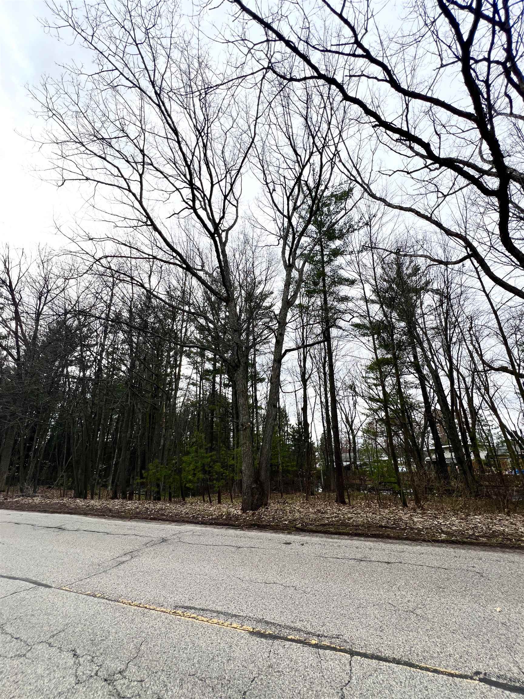 8th image of 00 Kenwood Rd, Cadillac, MI 49601 | MLS# 80066963