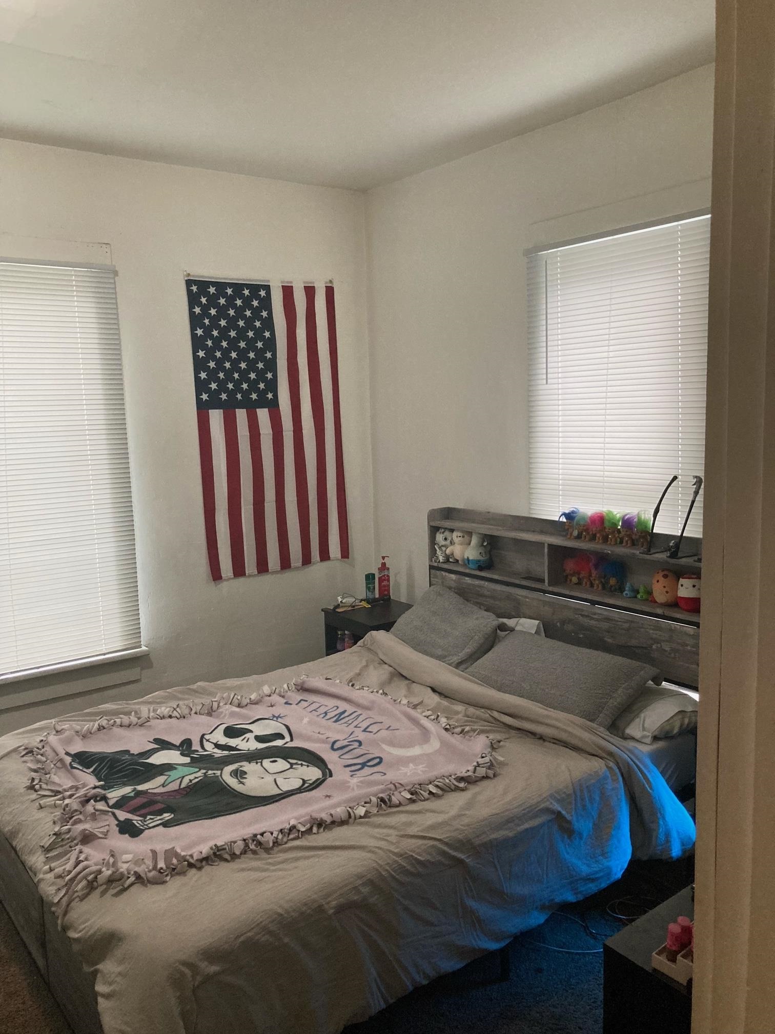 406 S Kinney, Mount Pleasant, MI, 48858