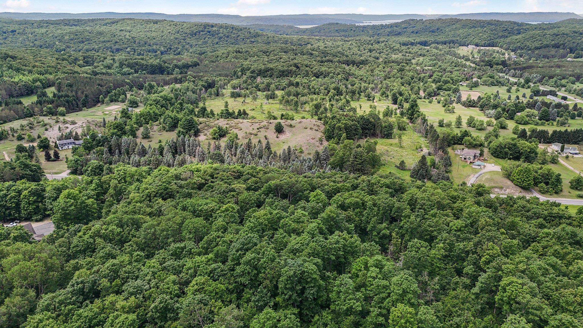 V/L S Coleman Road, Maple City, MI, 49664