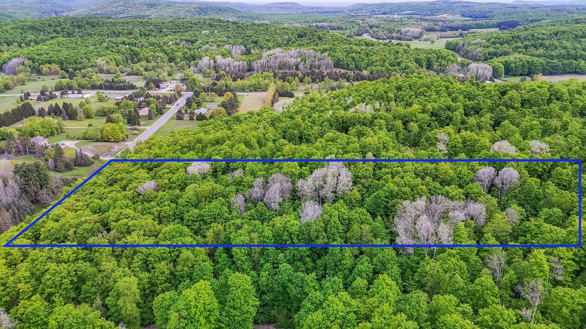 V/L S Coleman Road, Maple City, MI, 49664