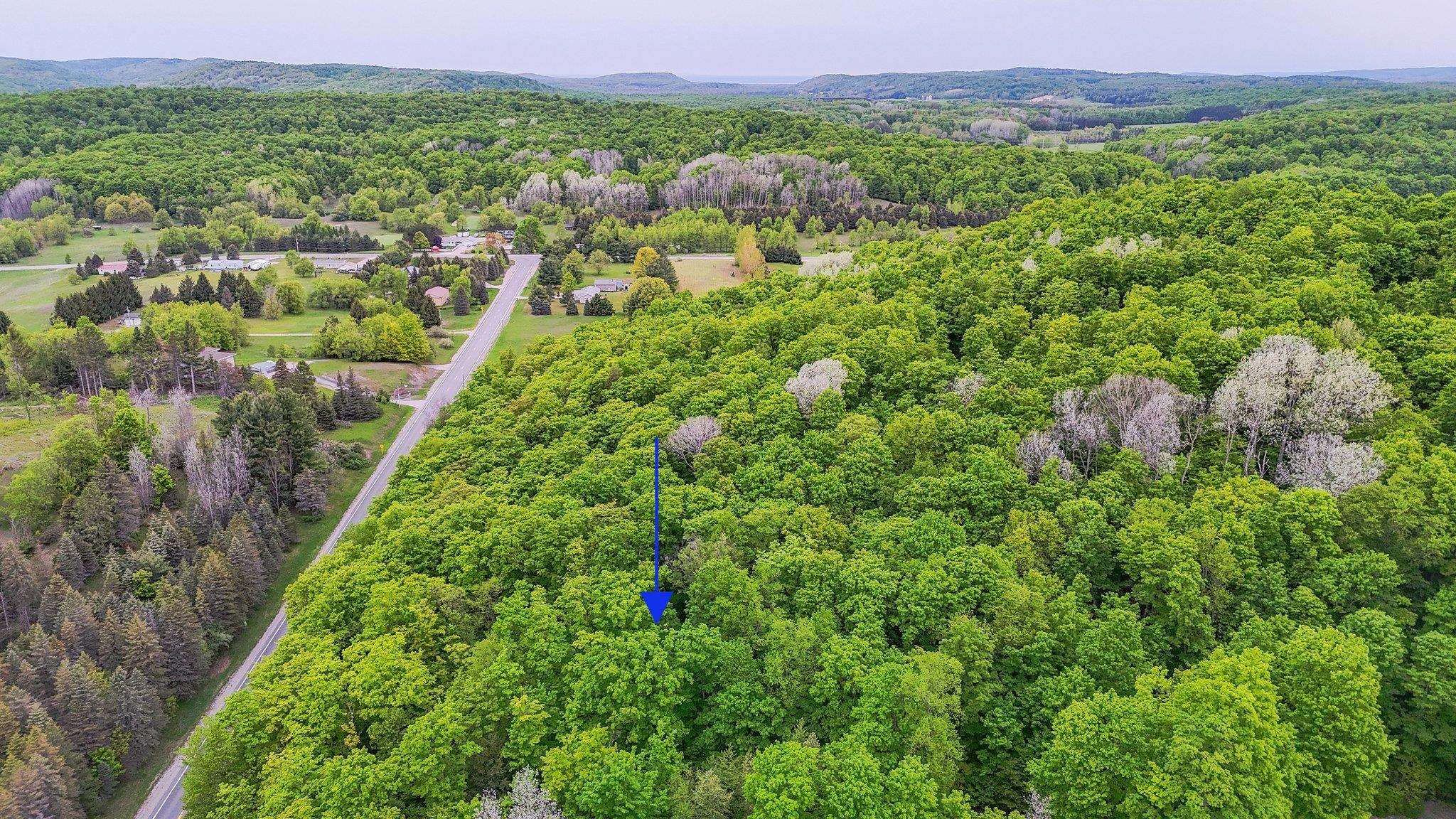 V/L S Coleman Road, Maple City, MI, 49664