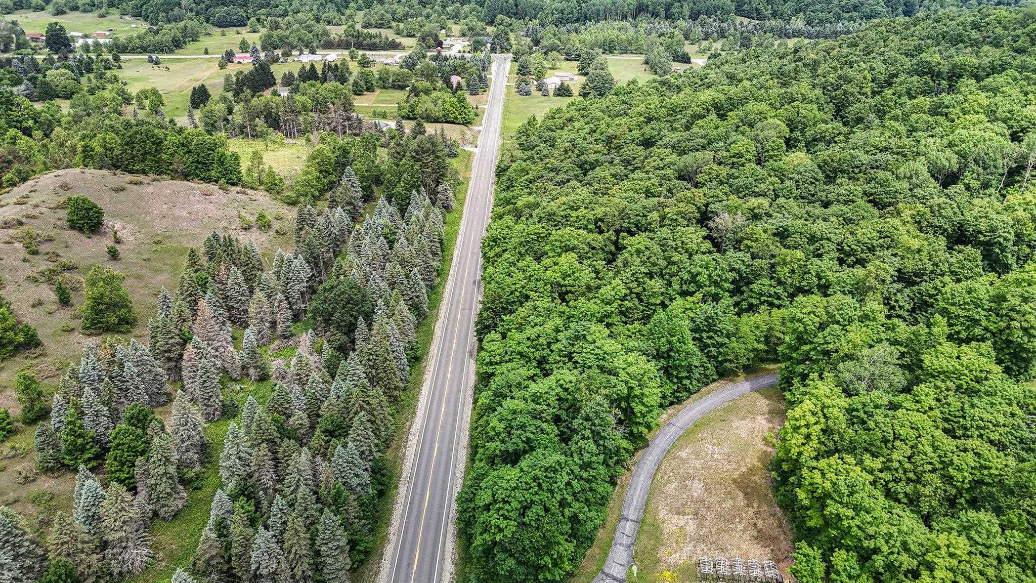 V/L S Coleman Road, Maple City, MI, 49664