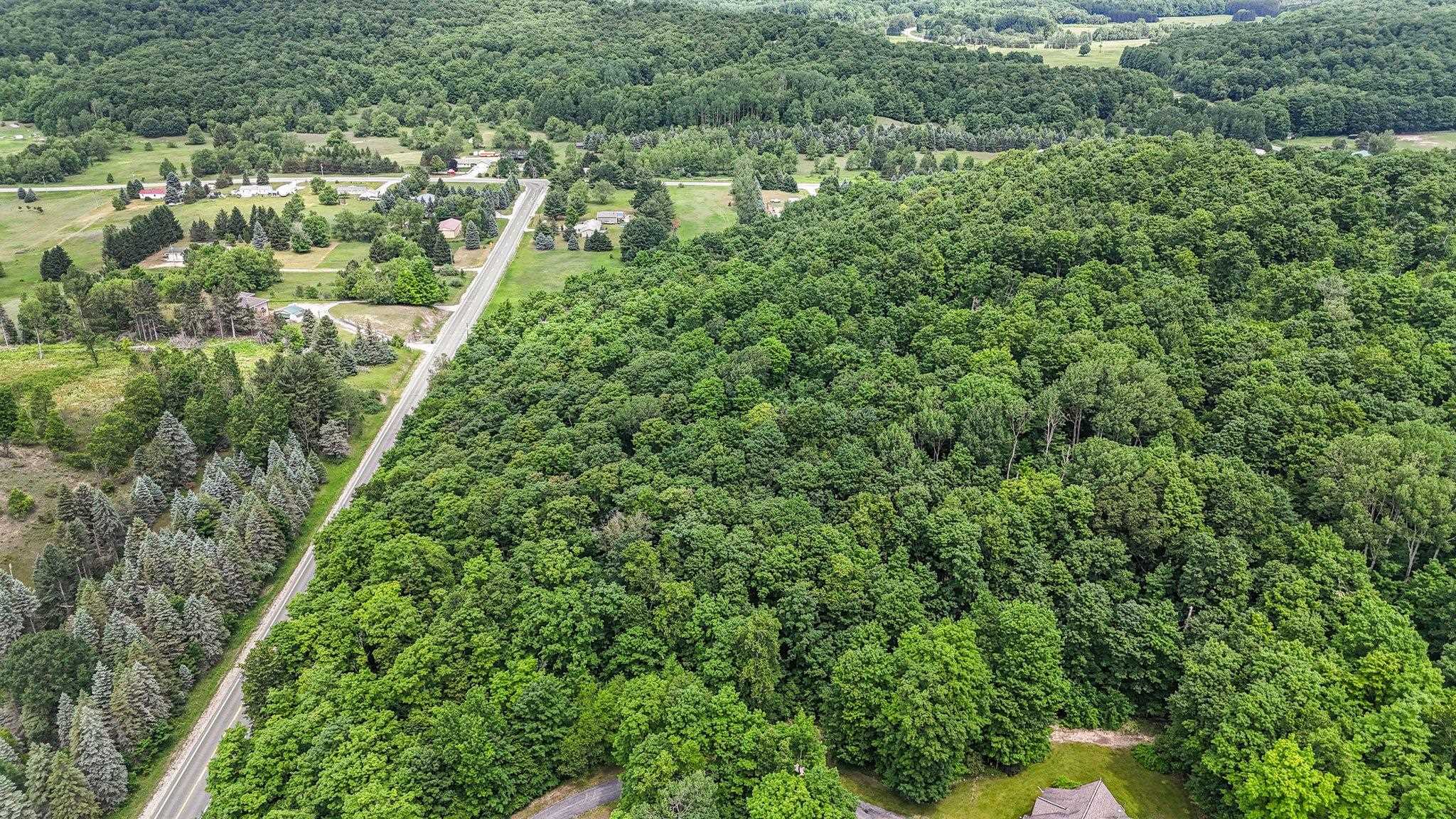 V/L S Coleman Road, Maple City, MI, 49664