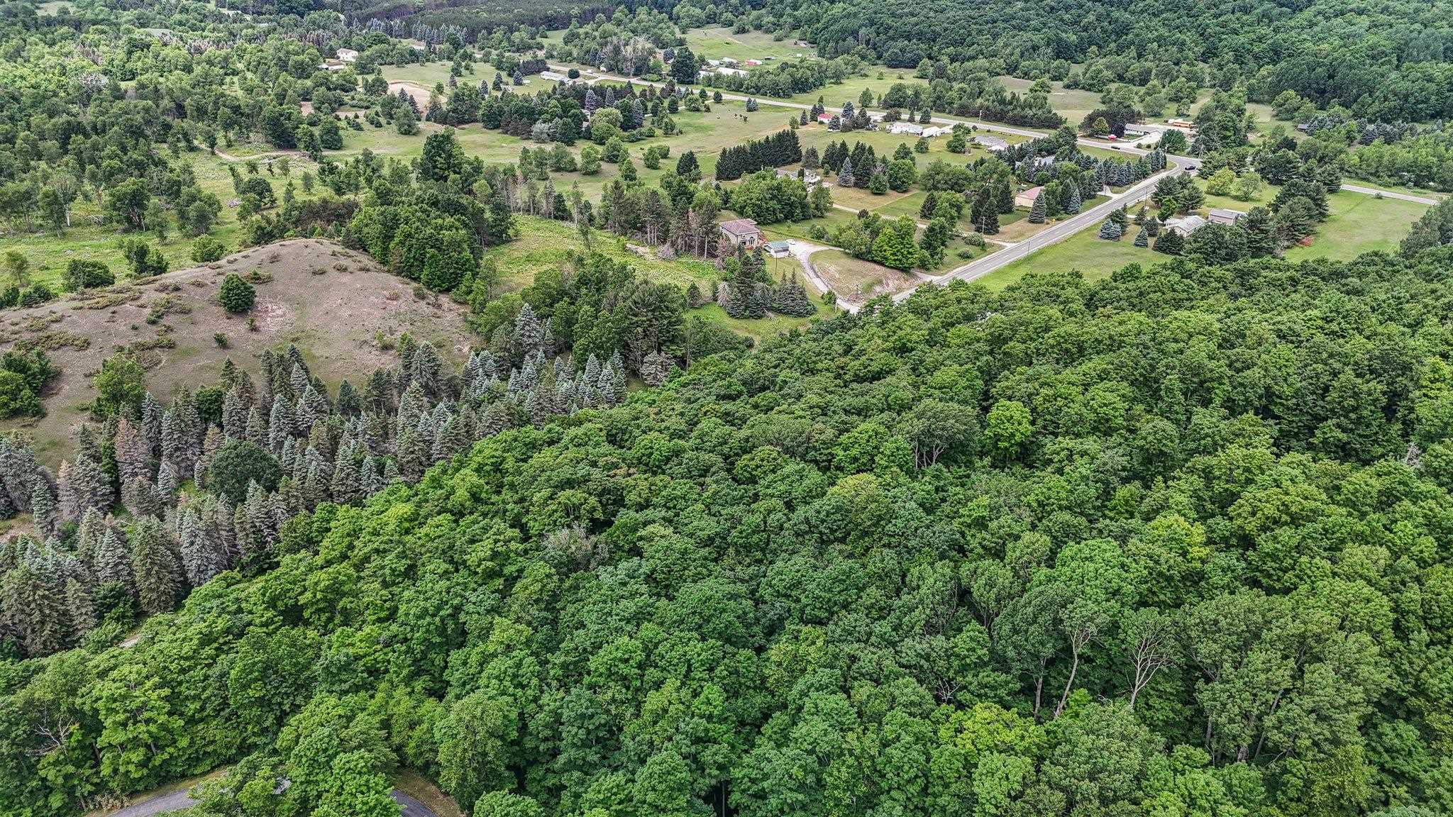 V/L S Coleman Road, Maple City, MI, 49664