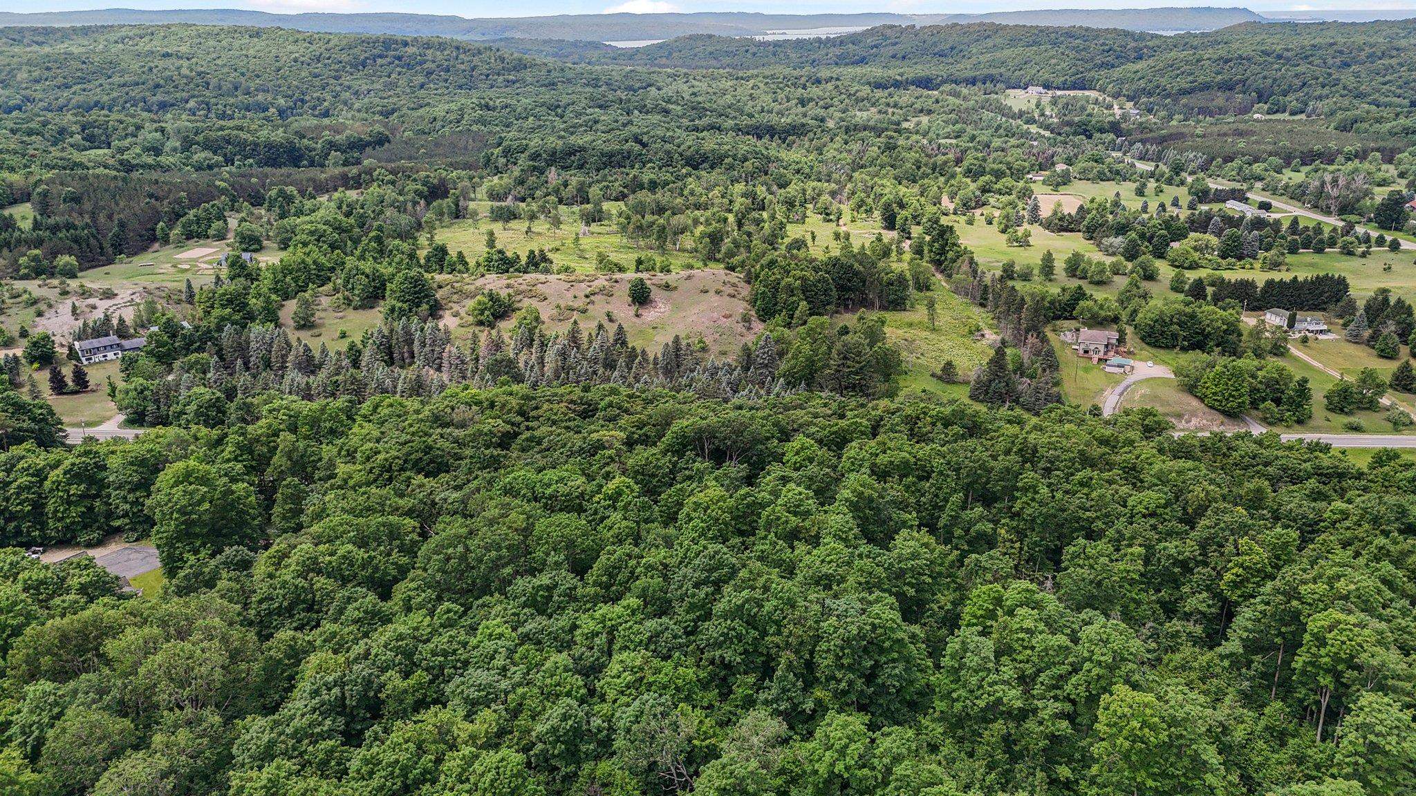 V/L S Coleman Road, Maple City, MI, 49664