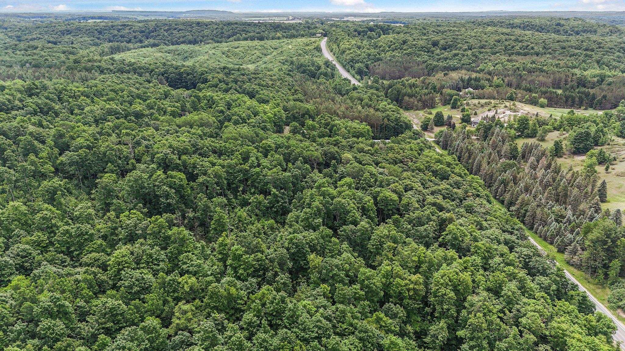 V/L S Coleman Road, Maple City, MI, 49664