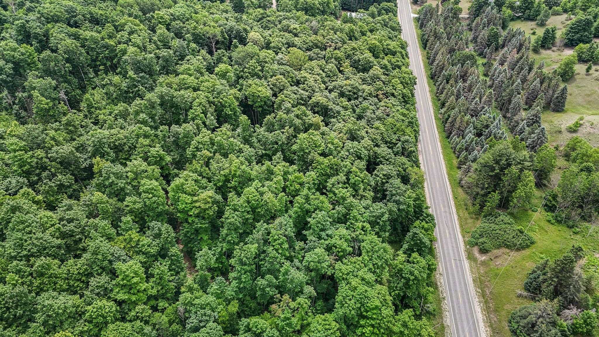 V/L S Coleman Road, Maple City, MI, 49664